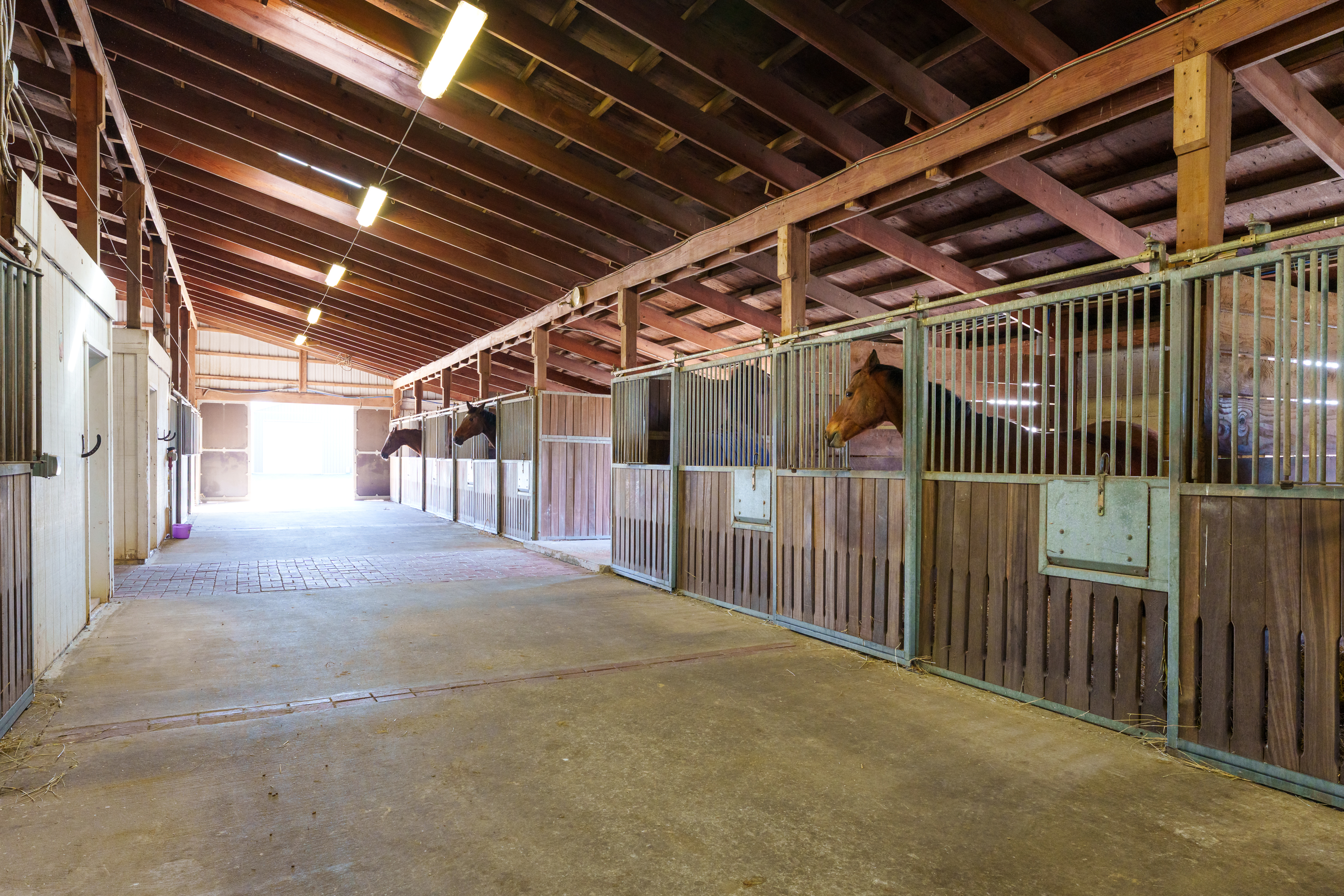  Turn-key Exceptional Princeton Area Equestrian Estate and Preserved Farm - 物件實景