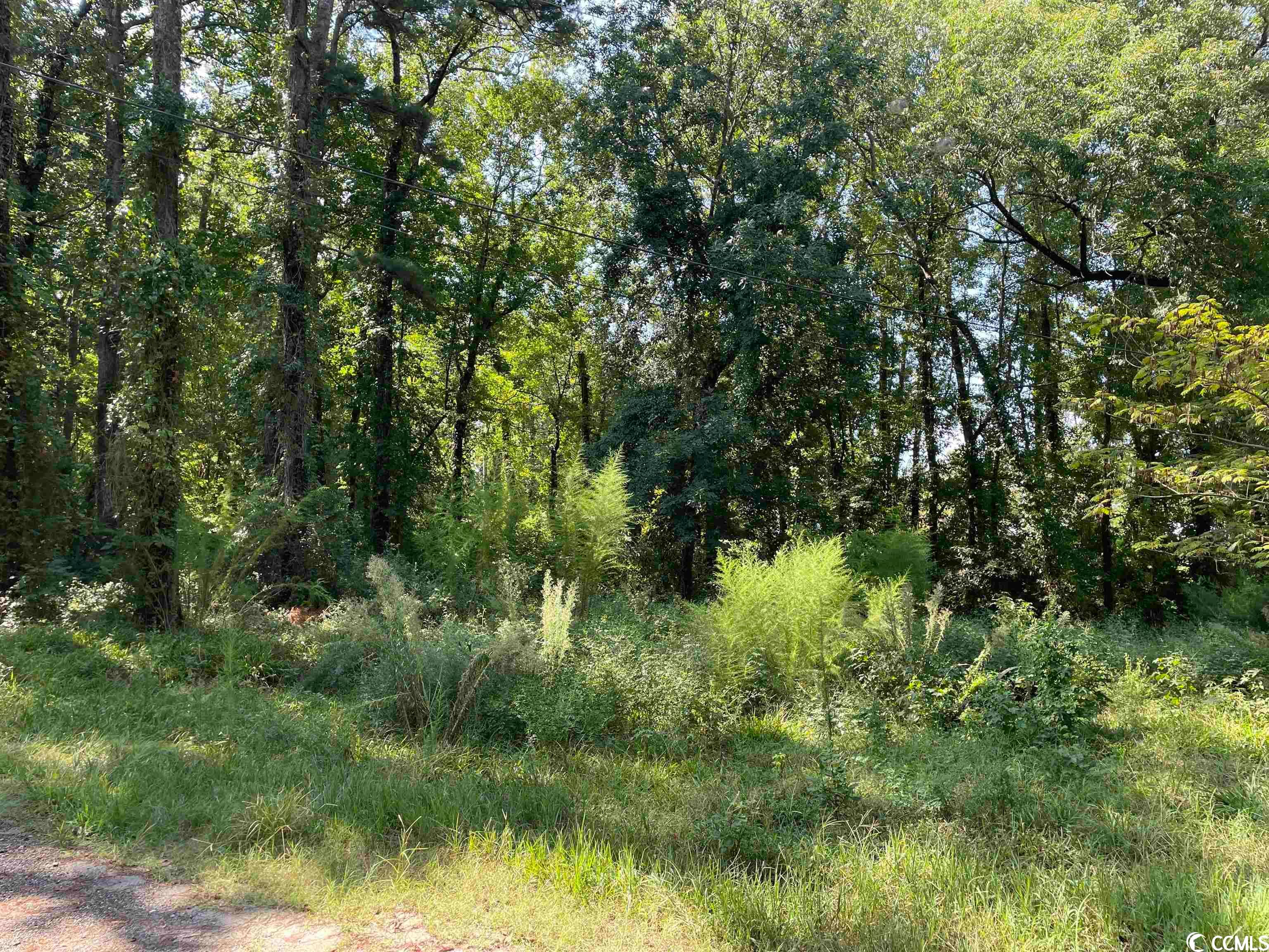2801 Little River Neck Rd., North Myrtle Beach, South Carolina, 29582, United States, ,Residential,For Sale,2801 Little River Neck Rd.,1607271