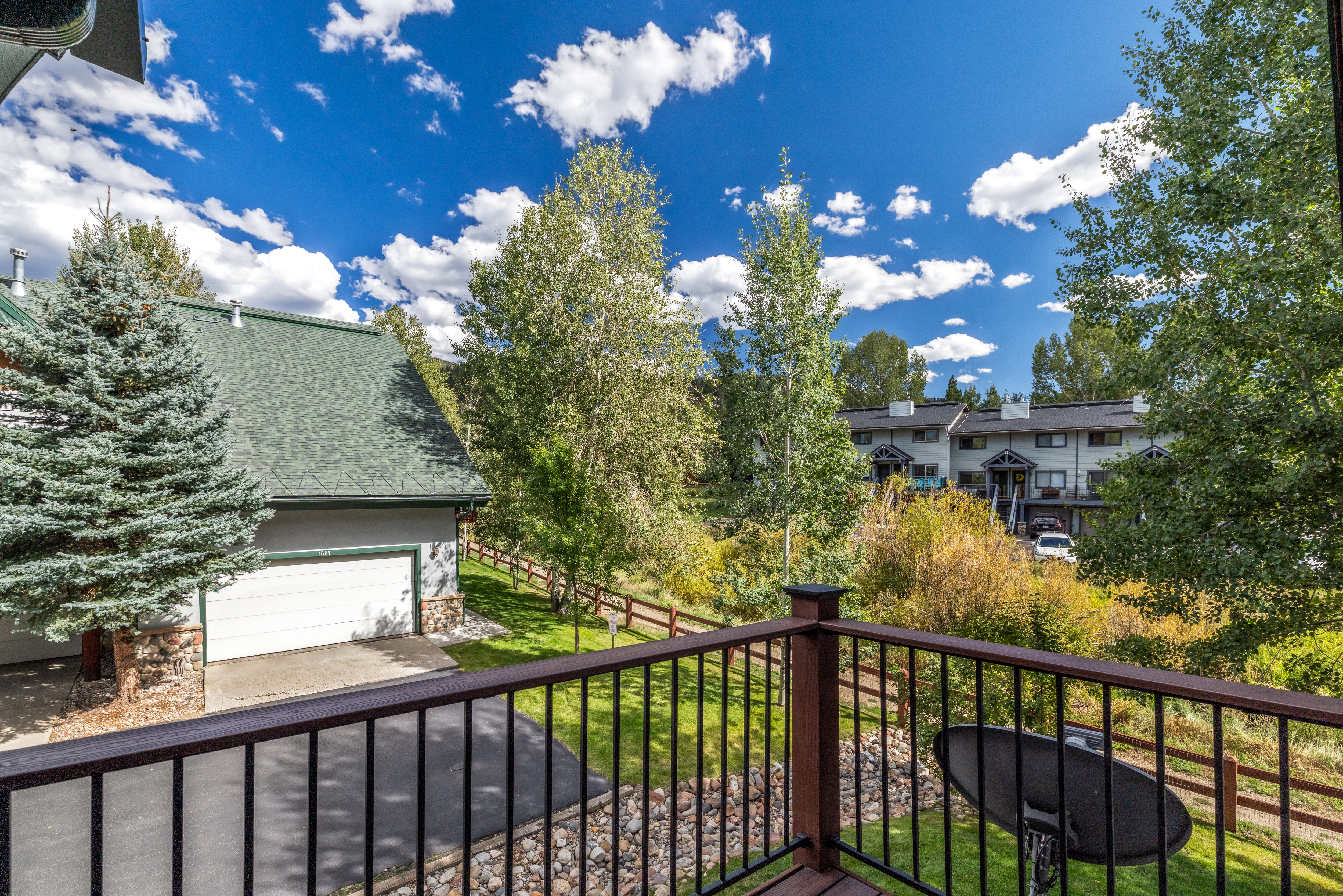  1607 Thistlebrook Lane, Steamboat Springs, CO, 80487 - 物件實景