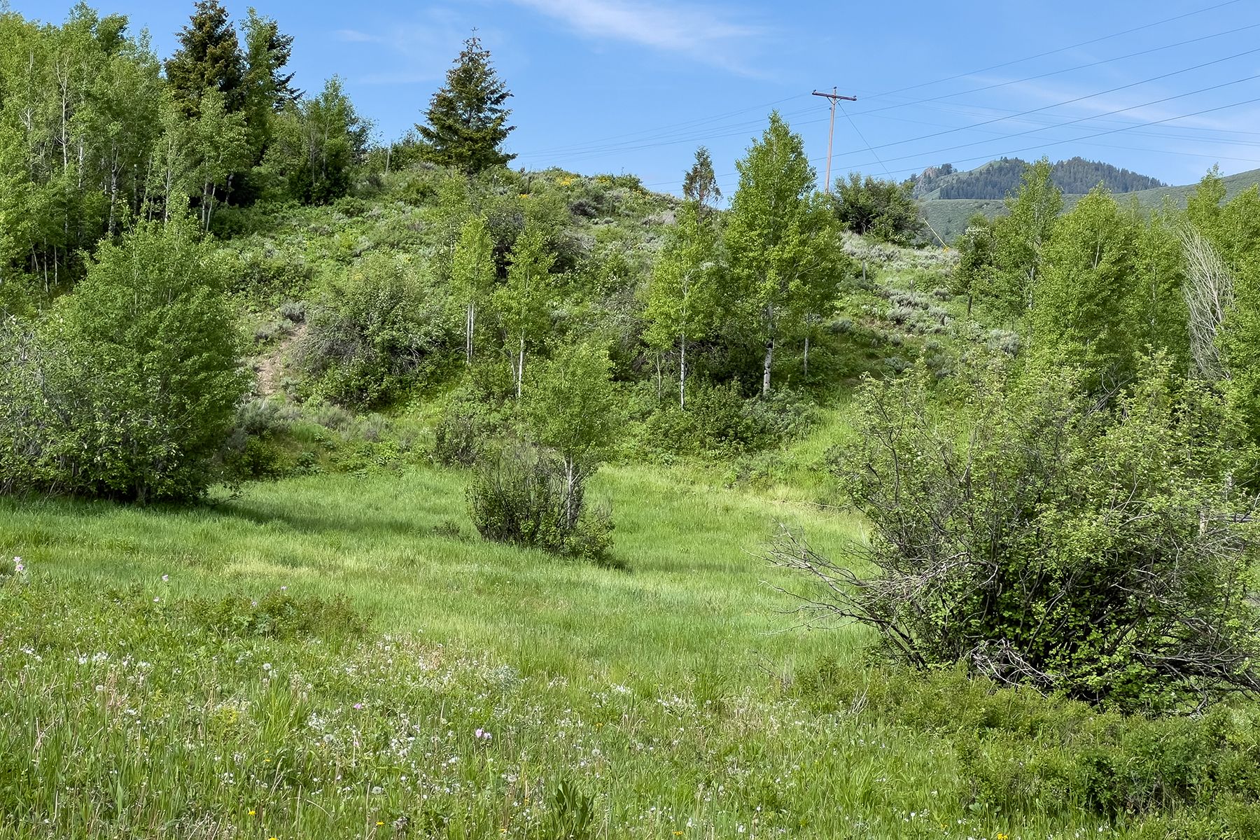  Rodeo Road - 物件實景