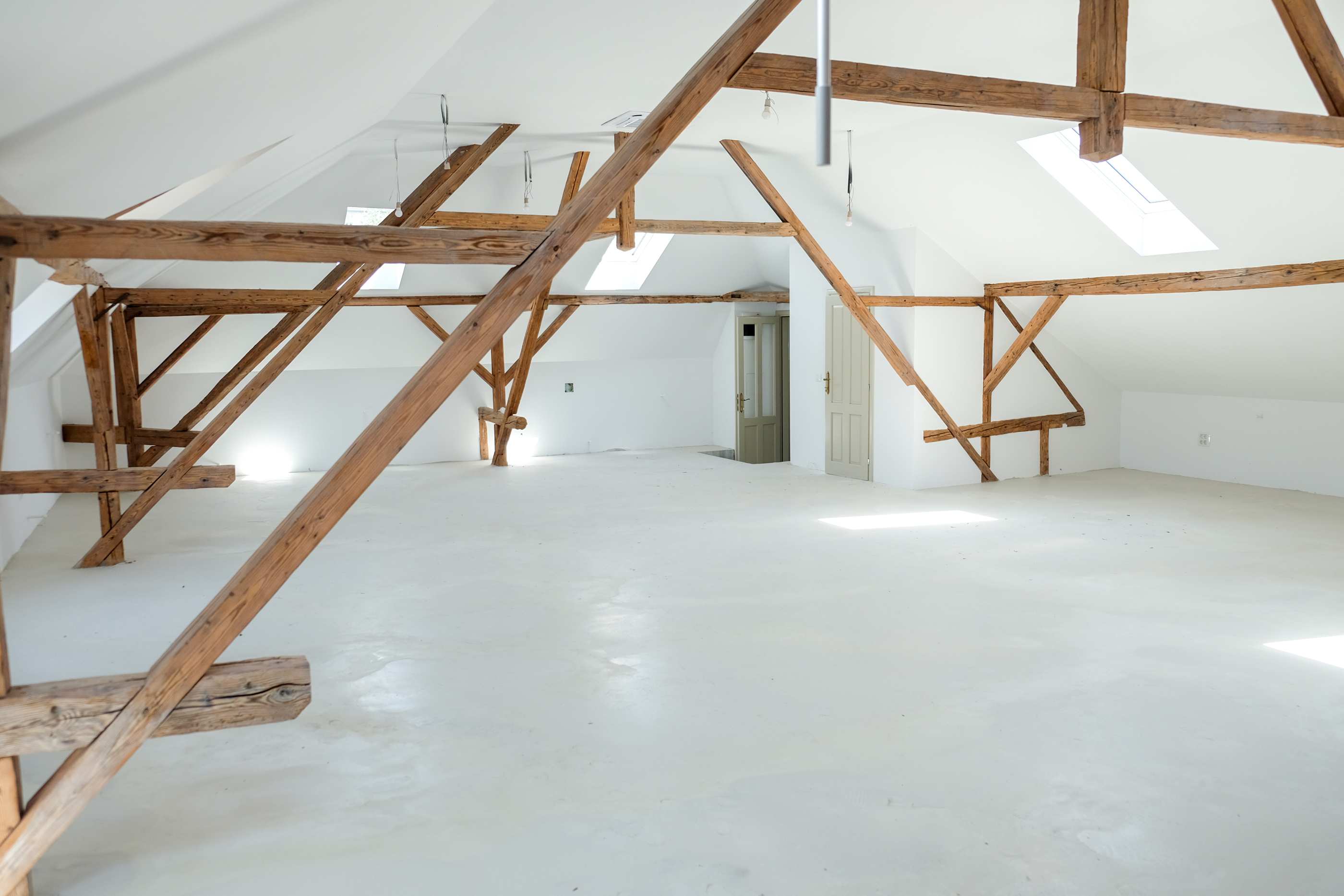  2 Renovated Versatile Buildings in Timioara’s Historic Center - 物件實景
