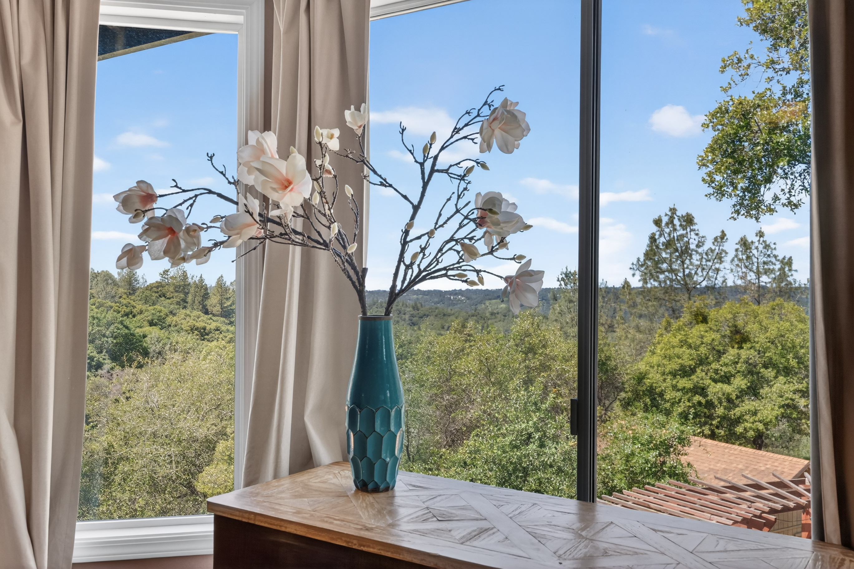  2566 Westville Trail, Cool, CA 95614 - 物件實景