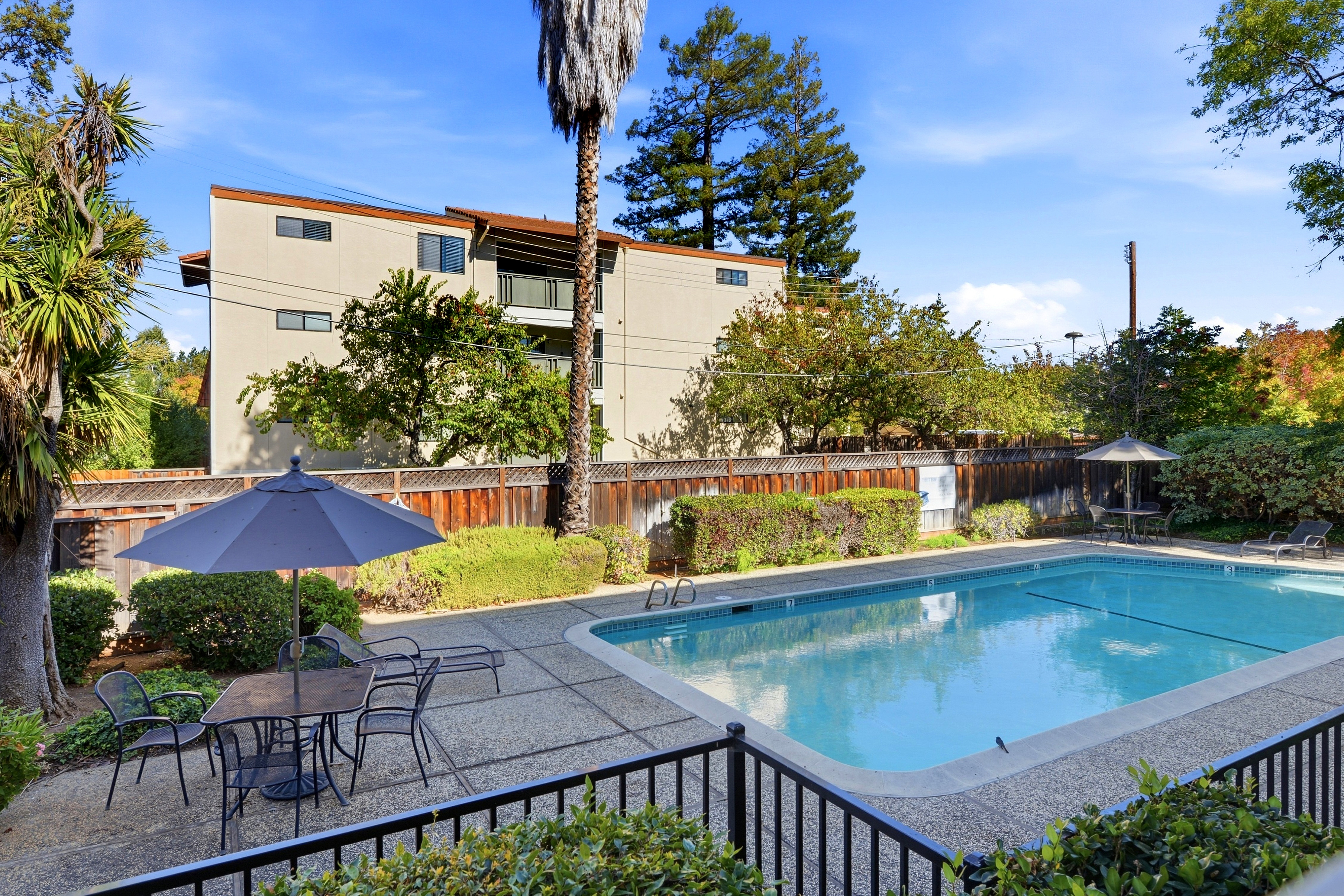  Remodeled Condo in the Heart of Downtown Los Altos - 物件實景