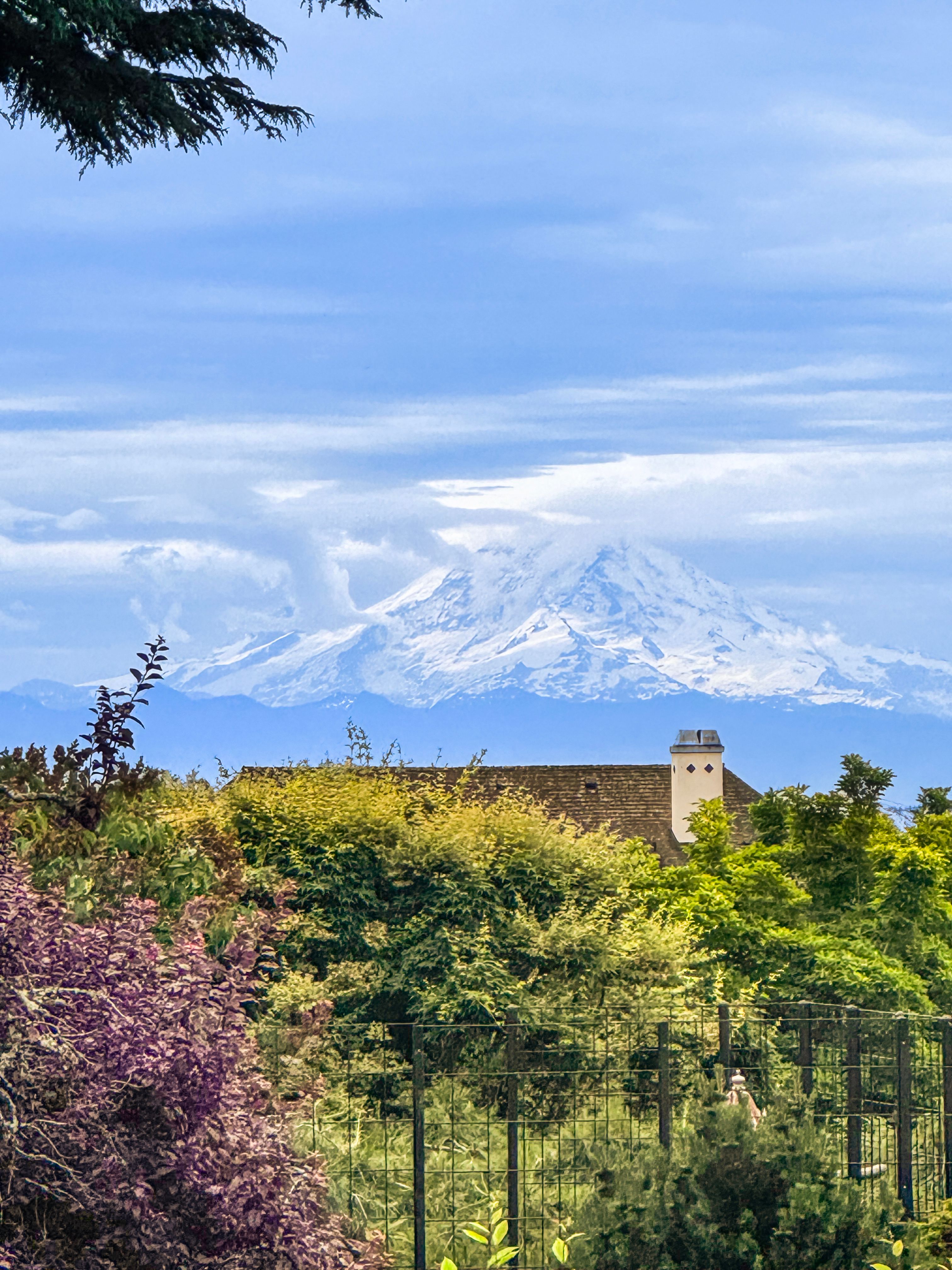  4206 W Glenmont Lane, Seattle, WA 98199 - 物件實景