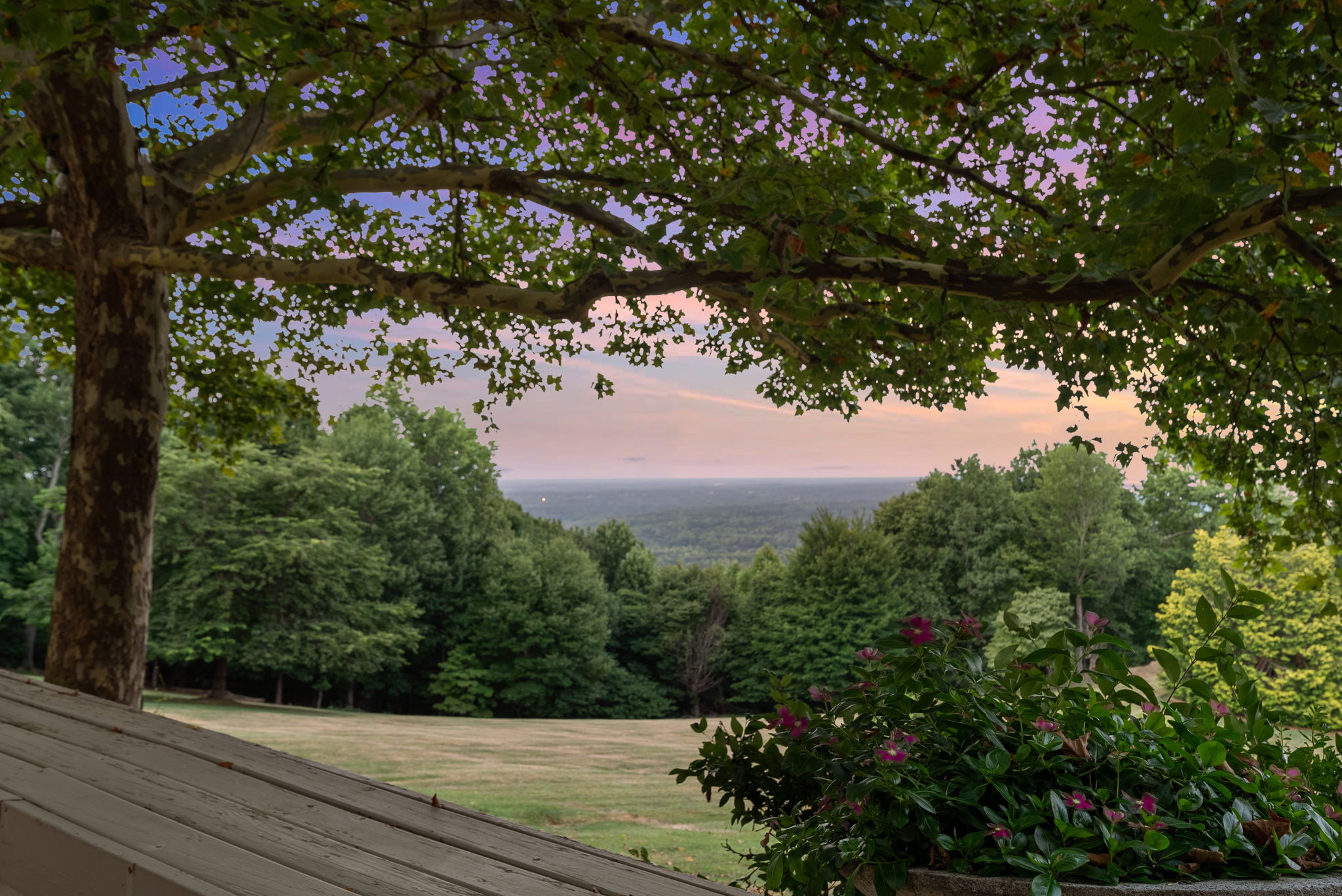 110 Huckleberry Ridge, Greenville, SC 29609 - 物件實景