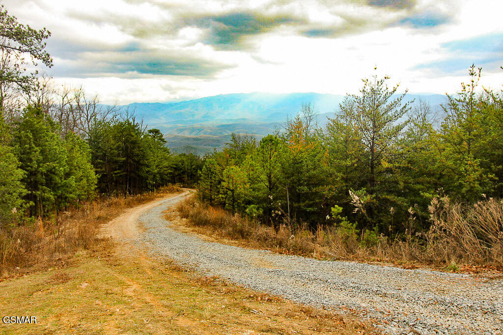 Sevierville, Tennessee, 37876, United States, ,Land,For Sale,2009102