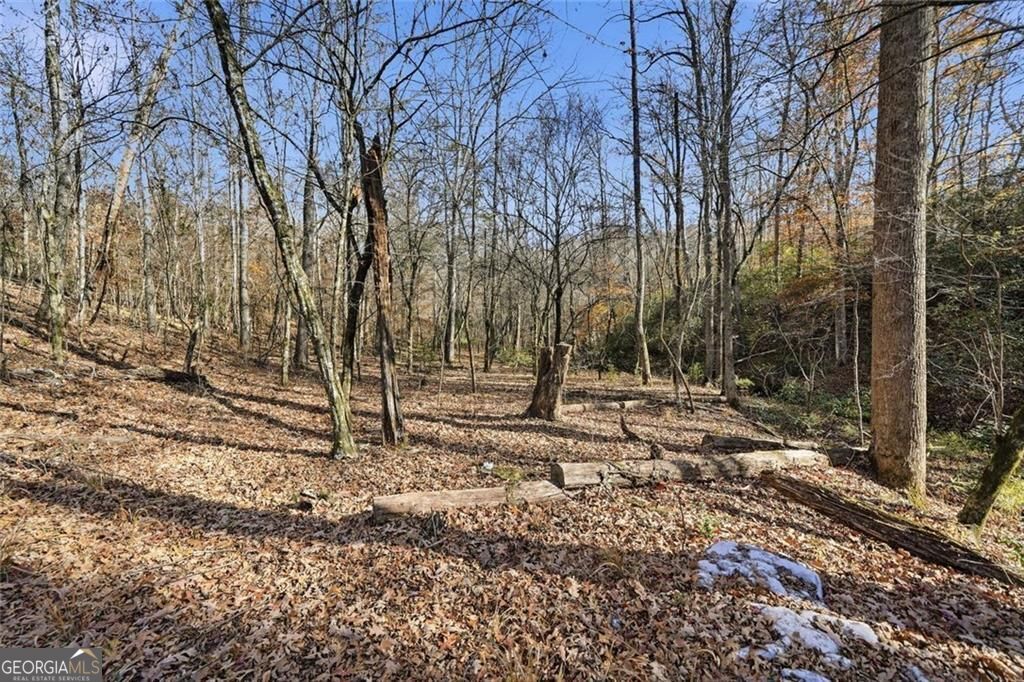 Jasper, Georgia, 30143, United States, ,Land,For Sale,1996551