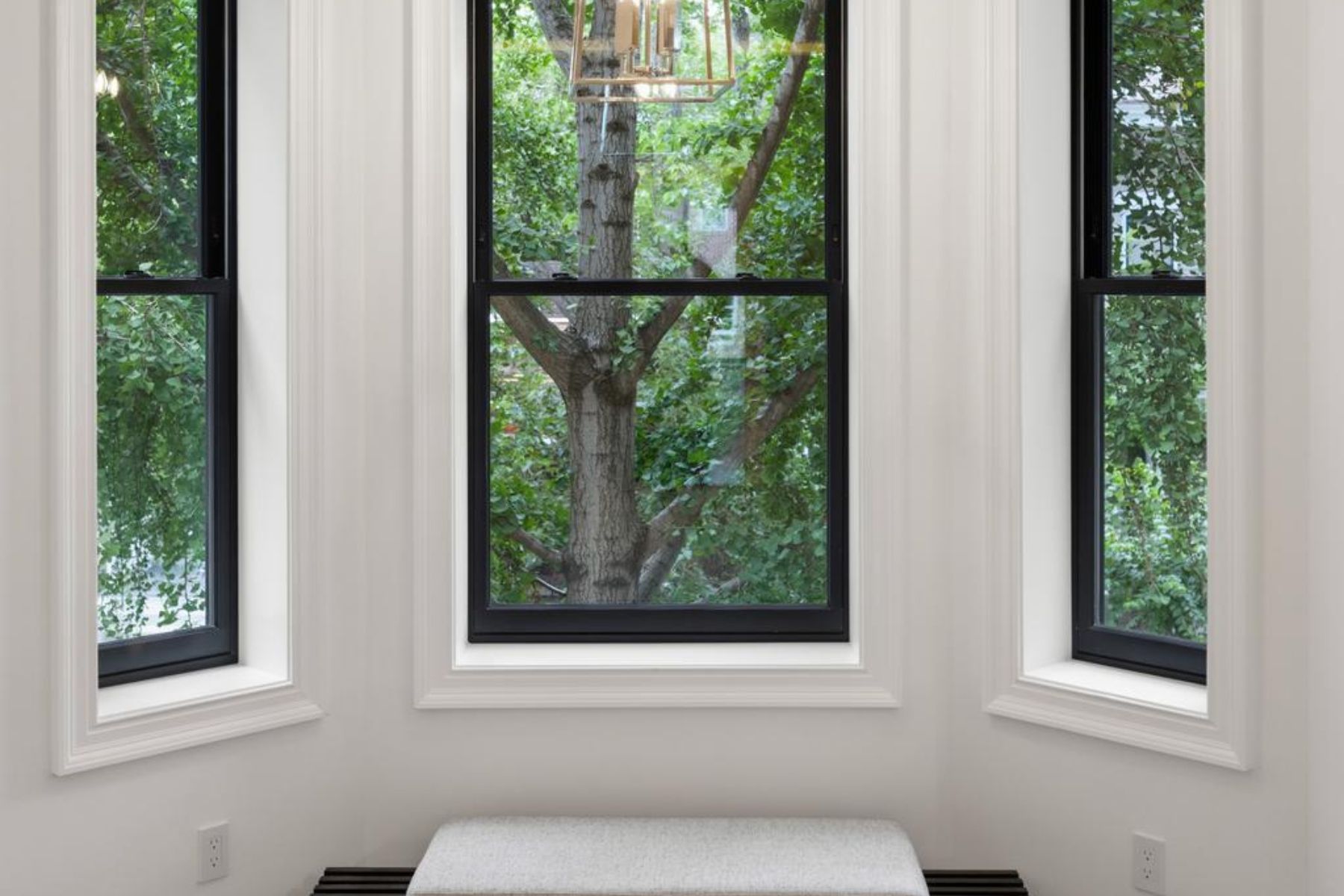  1716 Swann Street NW, Washington, DC, 20009 - 物件實景