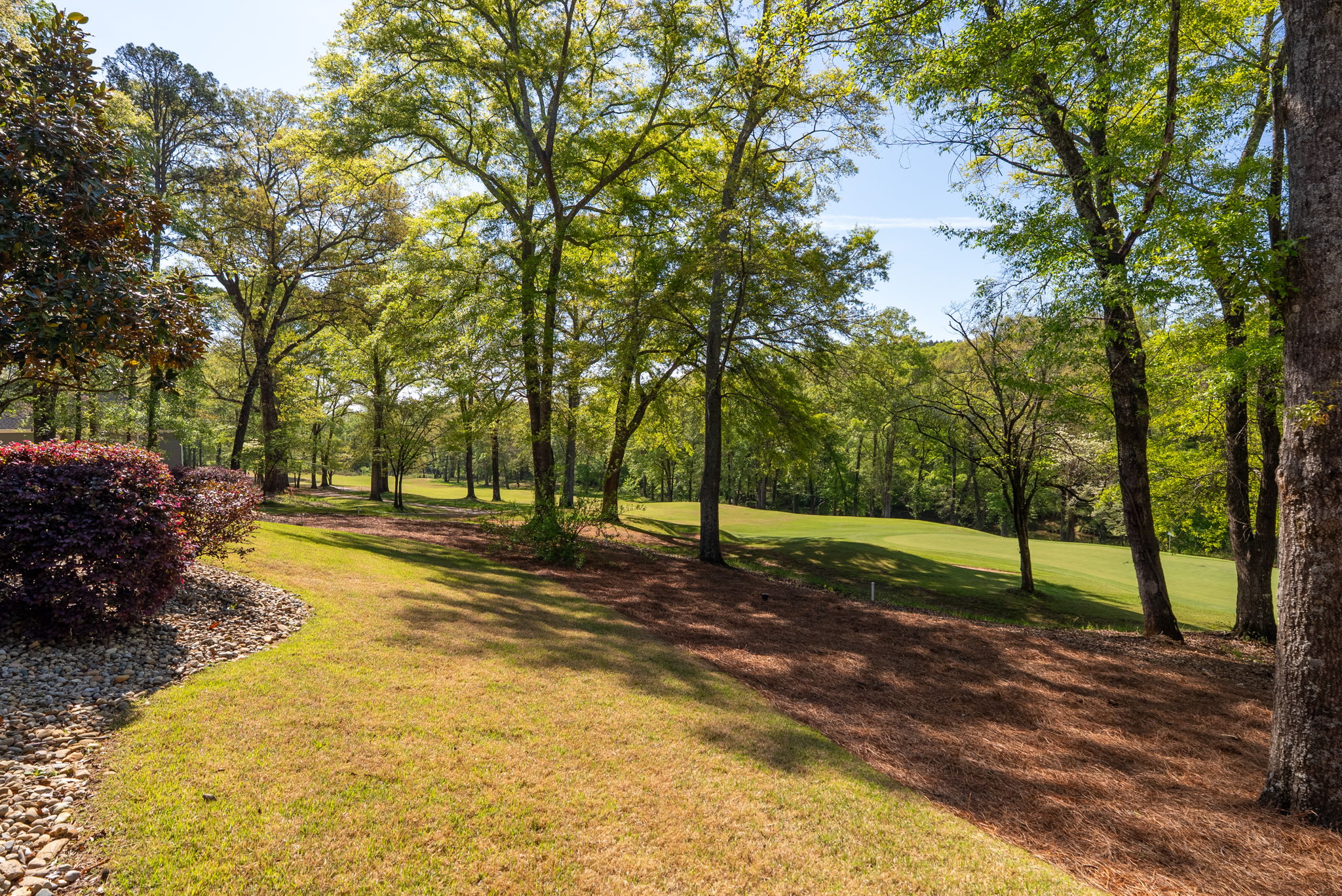  1602 Cross Creek Drive, Seneca, SC 29678 - 物件實景