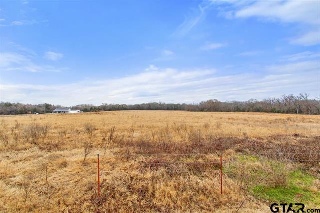 Van, Texas, 75790, United States, ,Land,For Sale,1981017