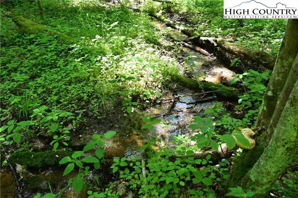 Warrensville, North Carolina, 28693, United States, ,Land,For Sale,1984173