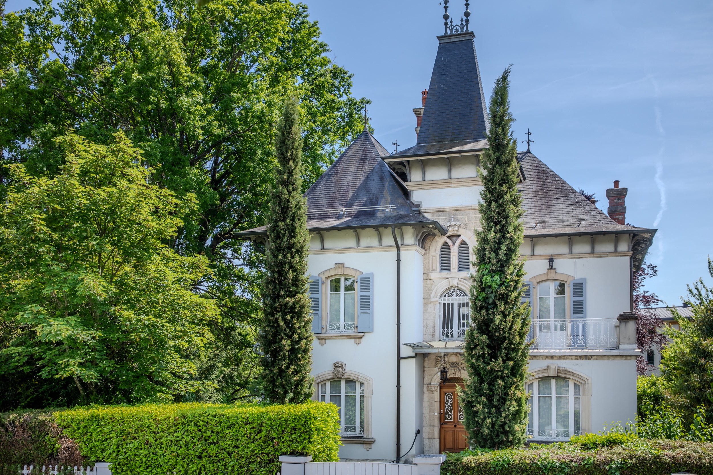  Master house in Saint Julien en Genevois - 物件實景
