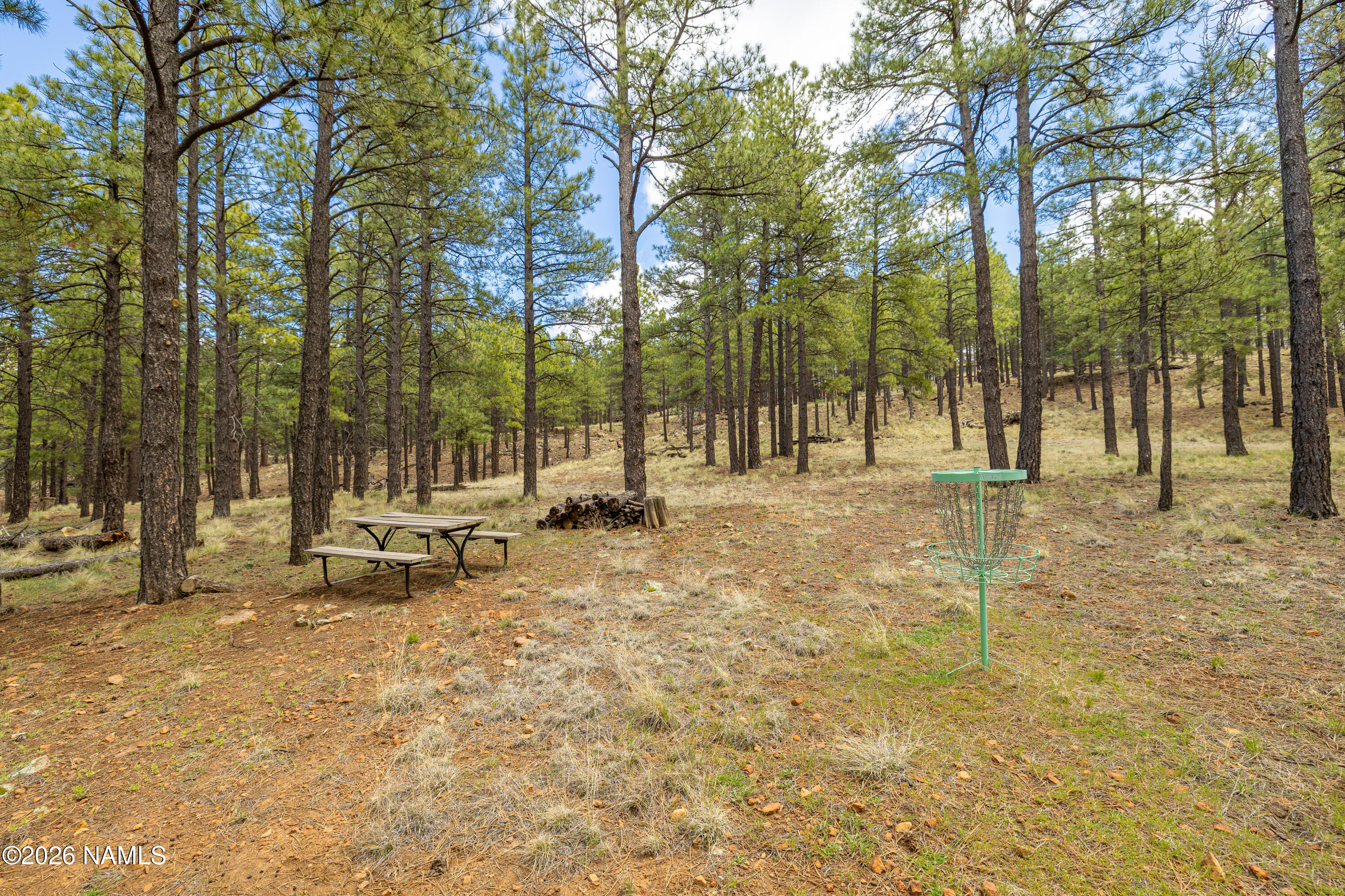  1426 N Edgewood Street, Flagstaff, AZ 86004 - 物件實景