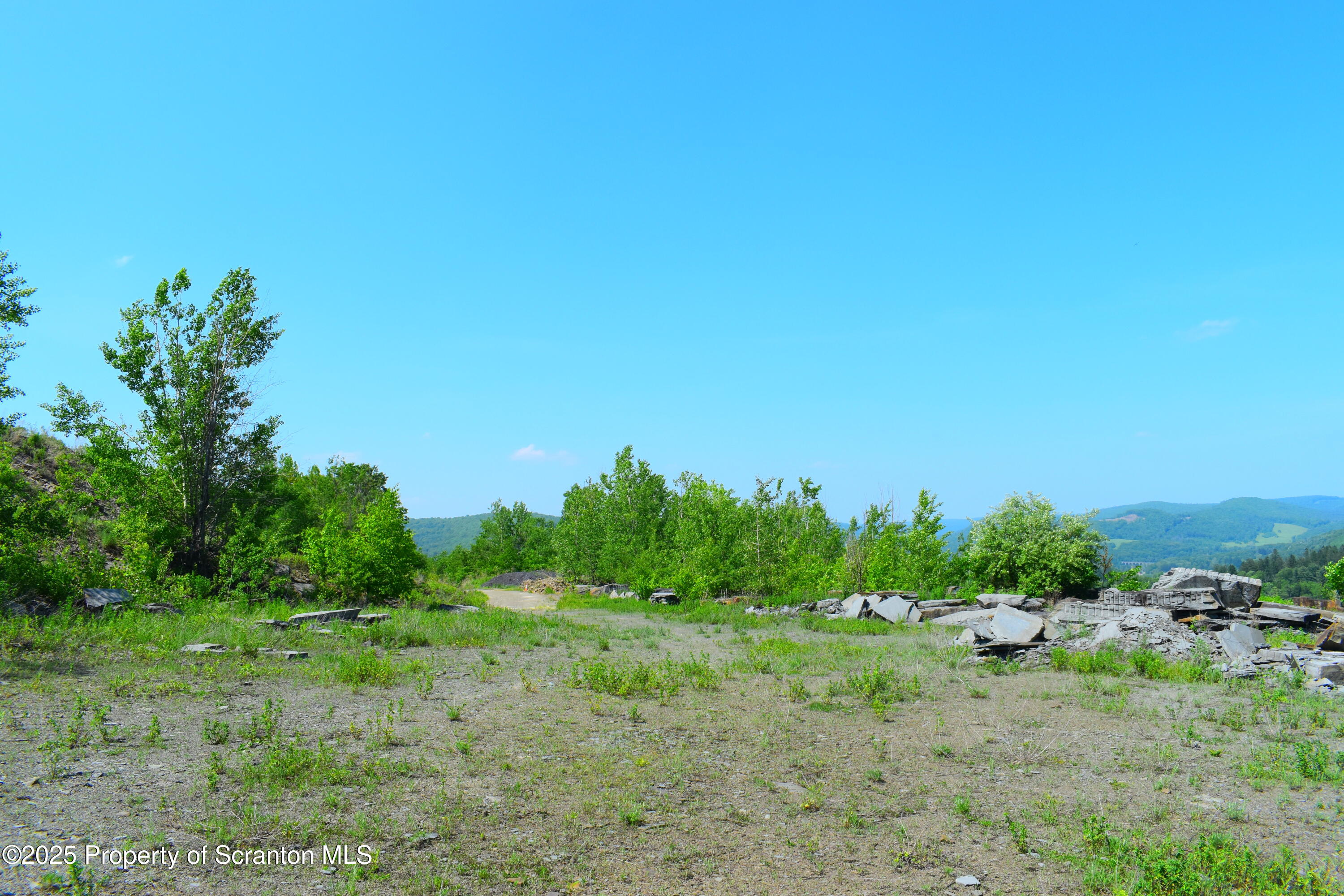 State Route 92, Susquehanna, Pennsylvania, 18847, United States, ,Land,For Sale,State Route 92,1665959