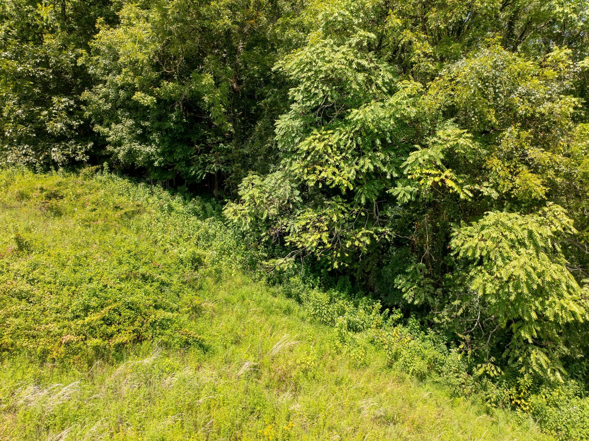 Celina, Tennessee, 38551, United States, ,Land,For Sale,1977132