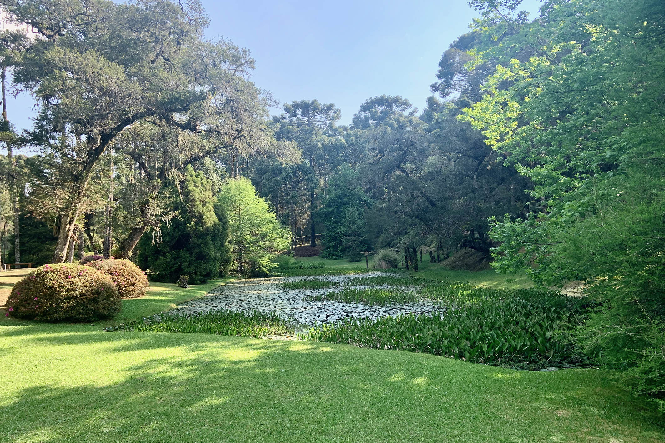  Private retreat with full infrastructure in Campos do Jordão - 物件實景