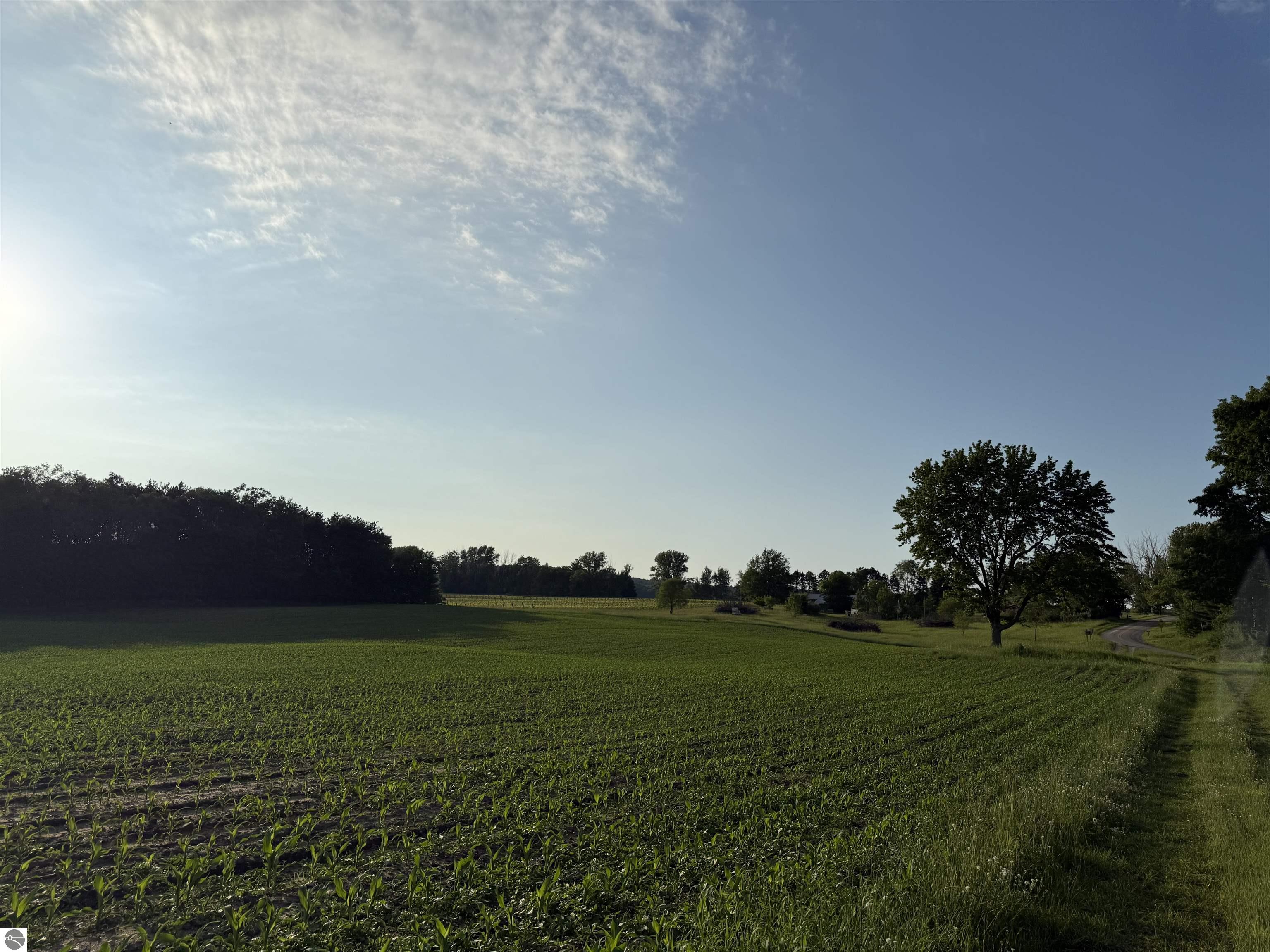 Beulah, Michigan, 49617, United States, ,Land,For Sale,1938552