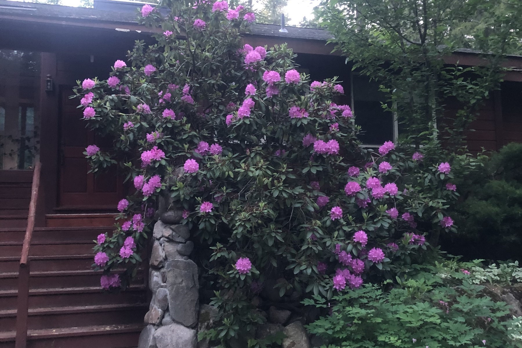  Tree Farm & Home on 6+ Acres - 物件實景