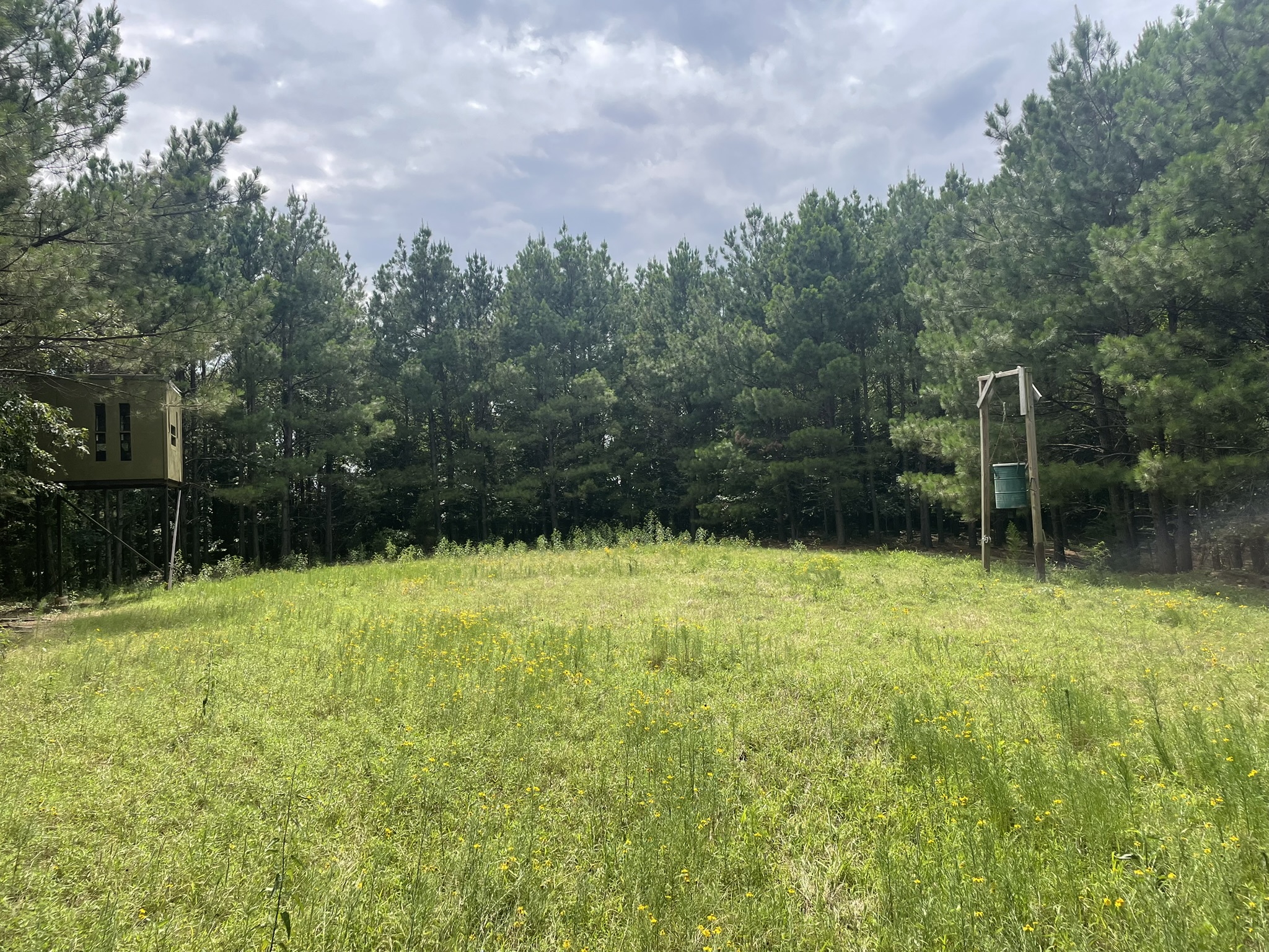 Cove, Arkansas, 71937, United States, 2 Bedrooms Bedrooms, ,Residential,For Sale,1938285