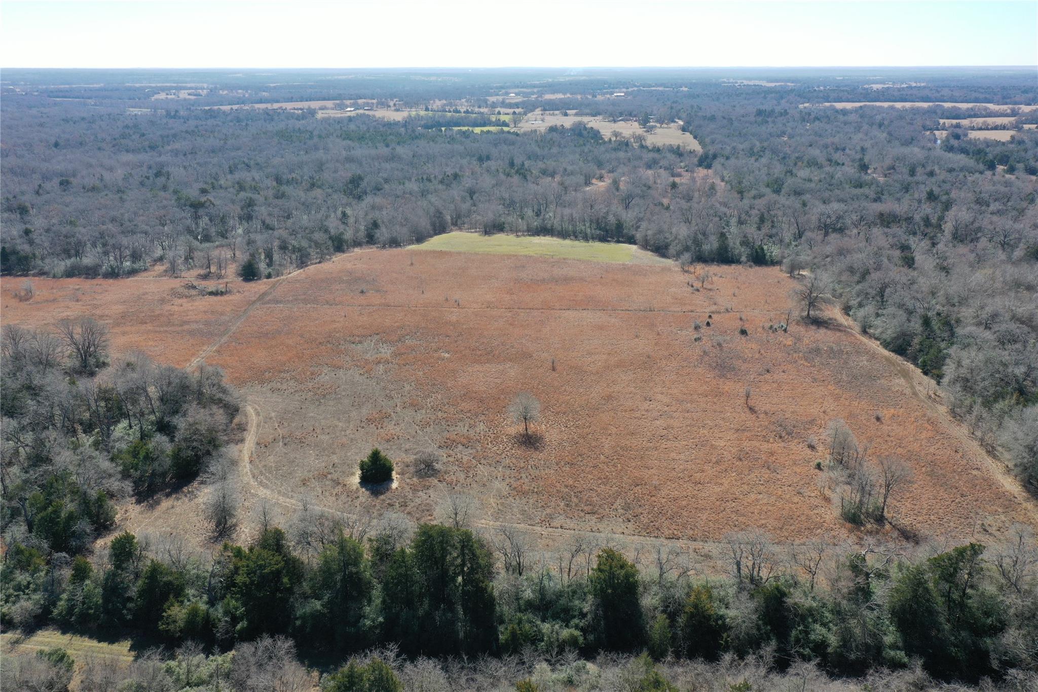 1151 Fowler Road, Bremond, Texas, 76629, United States, ,Land,For Sale,1151 Fowler Road,1621605
