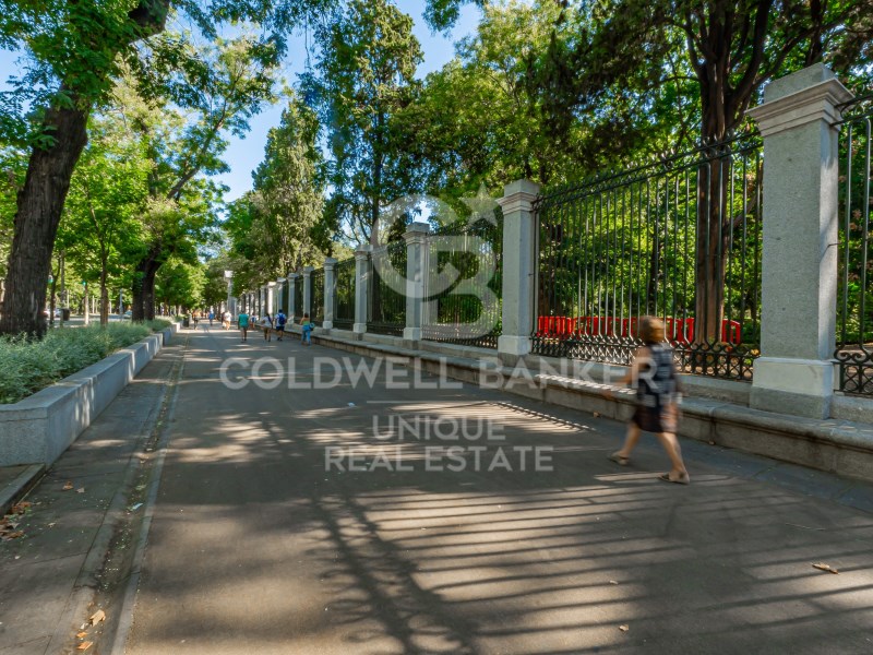 Madrid, Madrid, Retiro, Ibiza Madrid, Madrid, Reti, Madrid, Comunidad de Madrid, ES, 3 Bedrooms Bedrooms, ,2 BathroomsBathrooms,Residential,For Sale,Madrid, Madrid, Retiro, Ibiza Madrid, Madrid, Reti,1614051