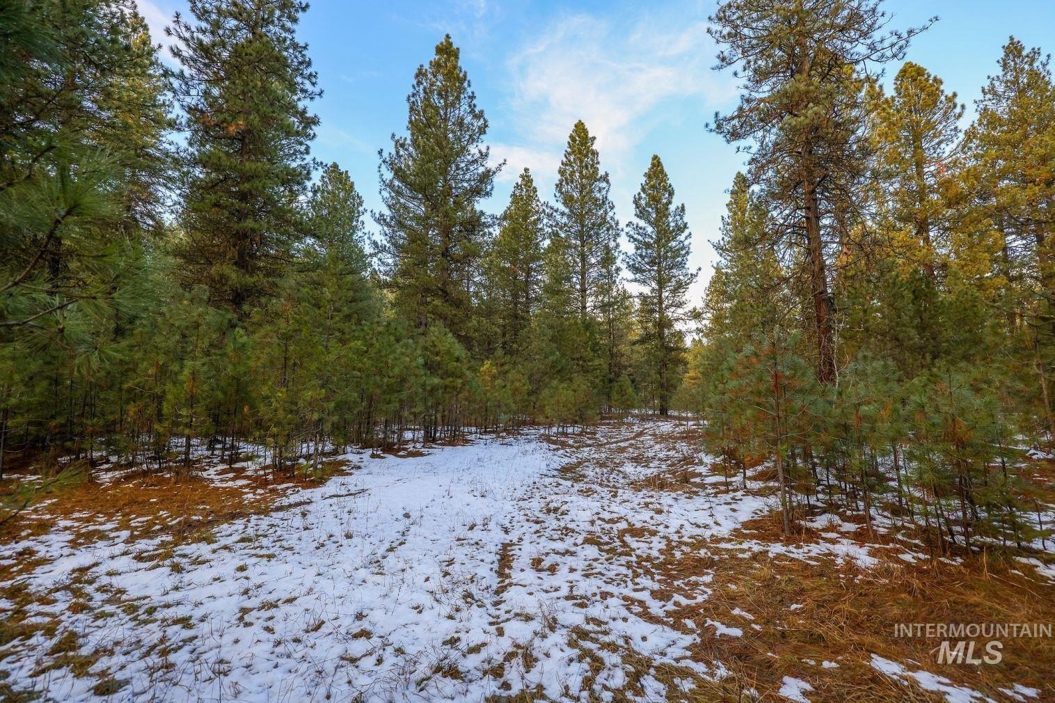 New Meadows, Idaho, 83654, United States, ,Land,For Sale,2006216