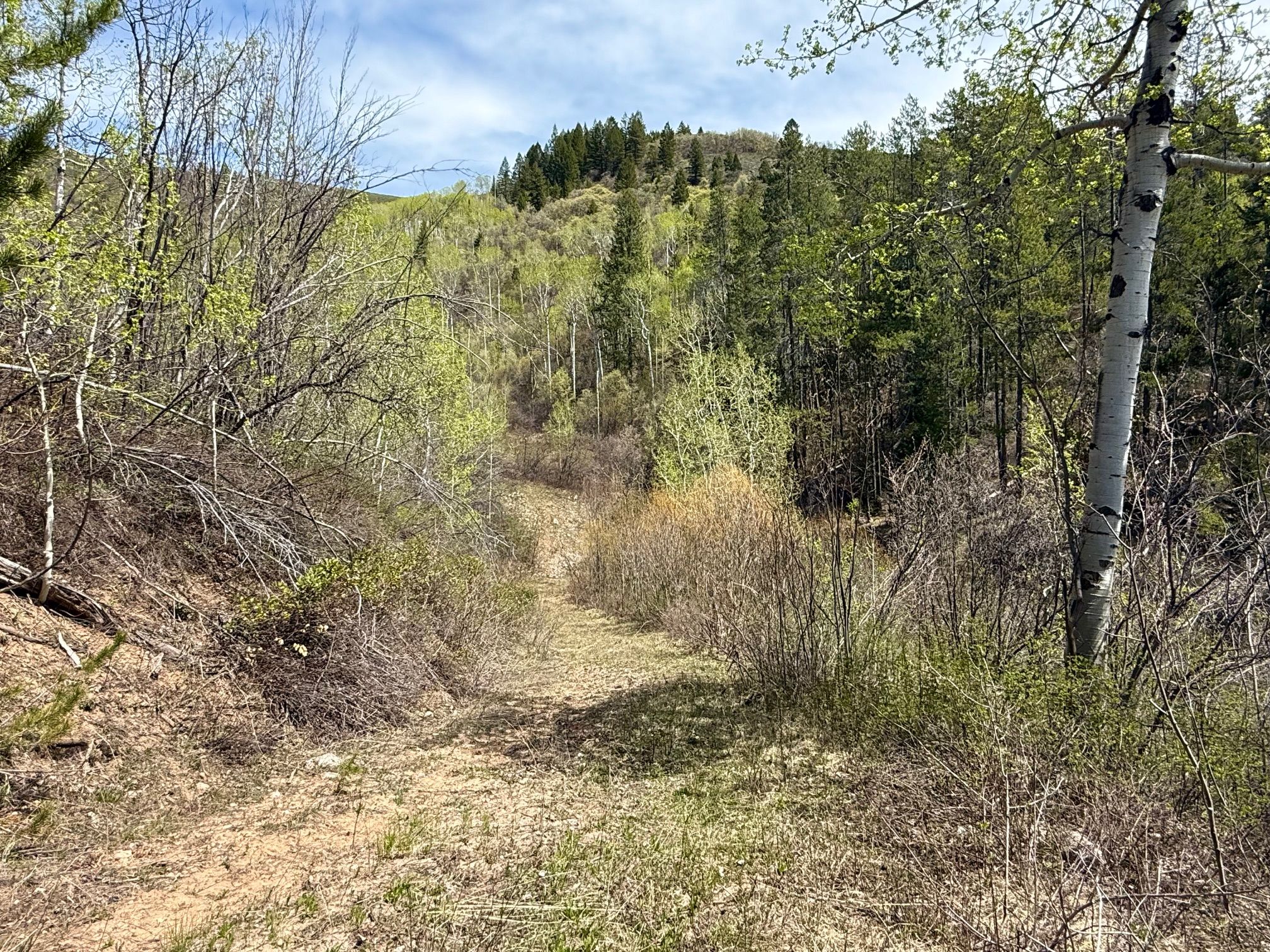  Property Overlooking the Palisades Reservoir - 物件實景