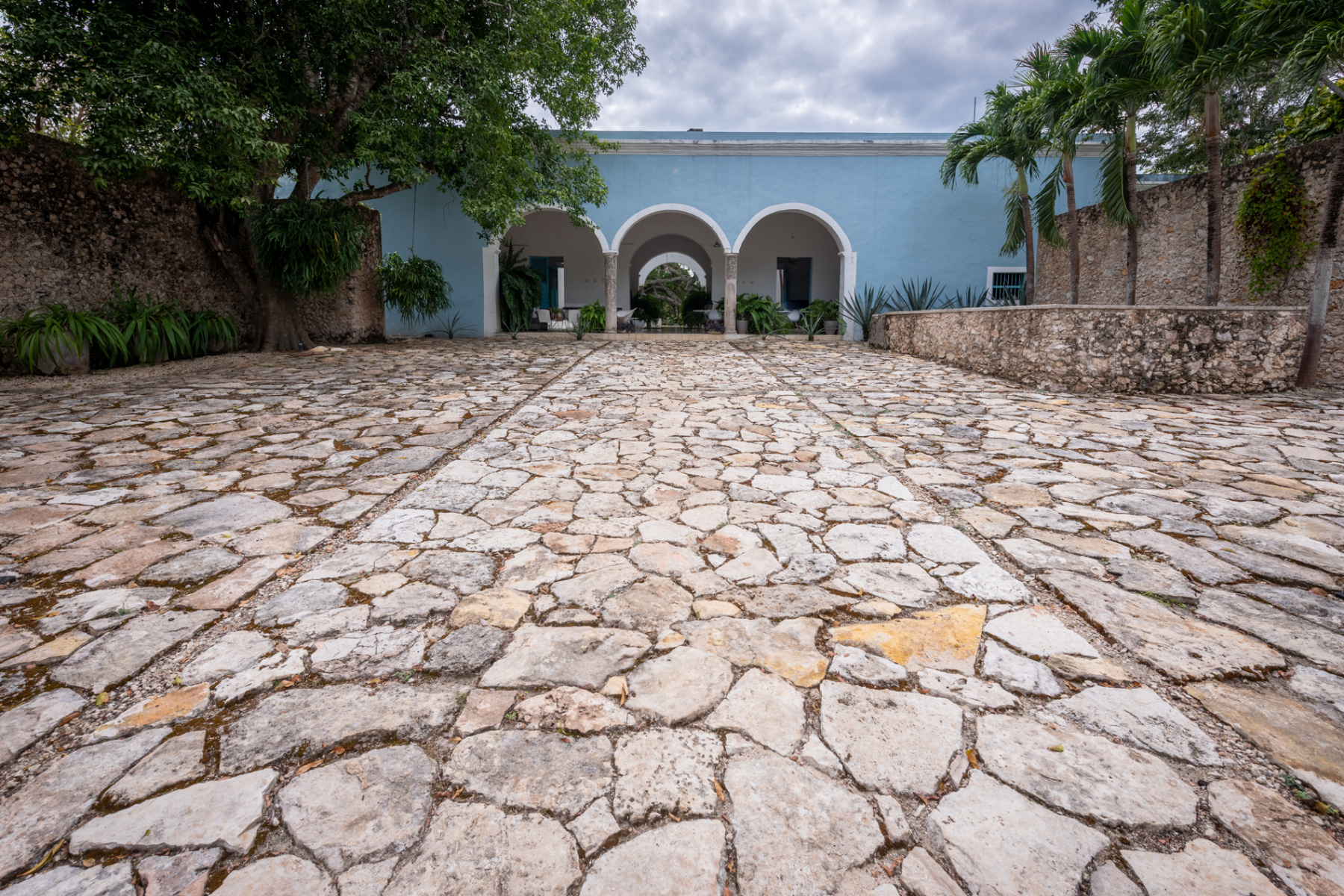  HACIENDA SERENITY OASIS RETREAT IN YUCATAN - 物件實景