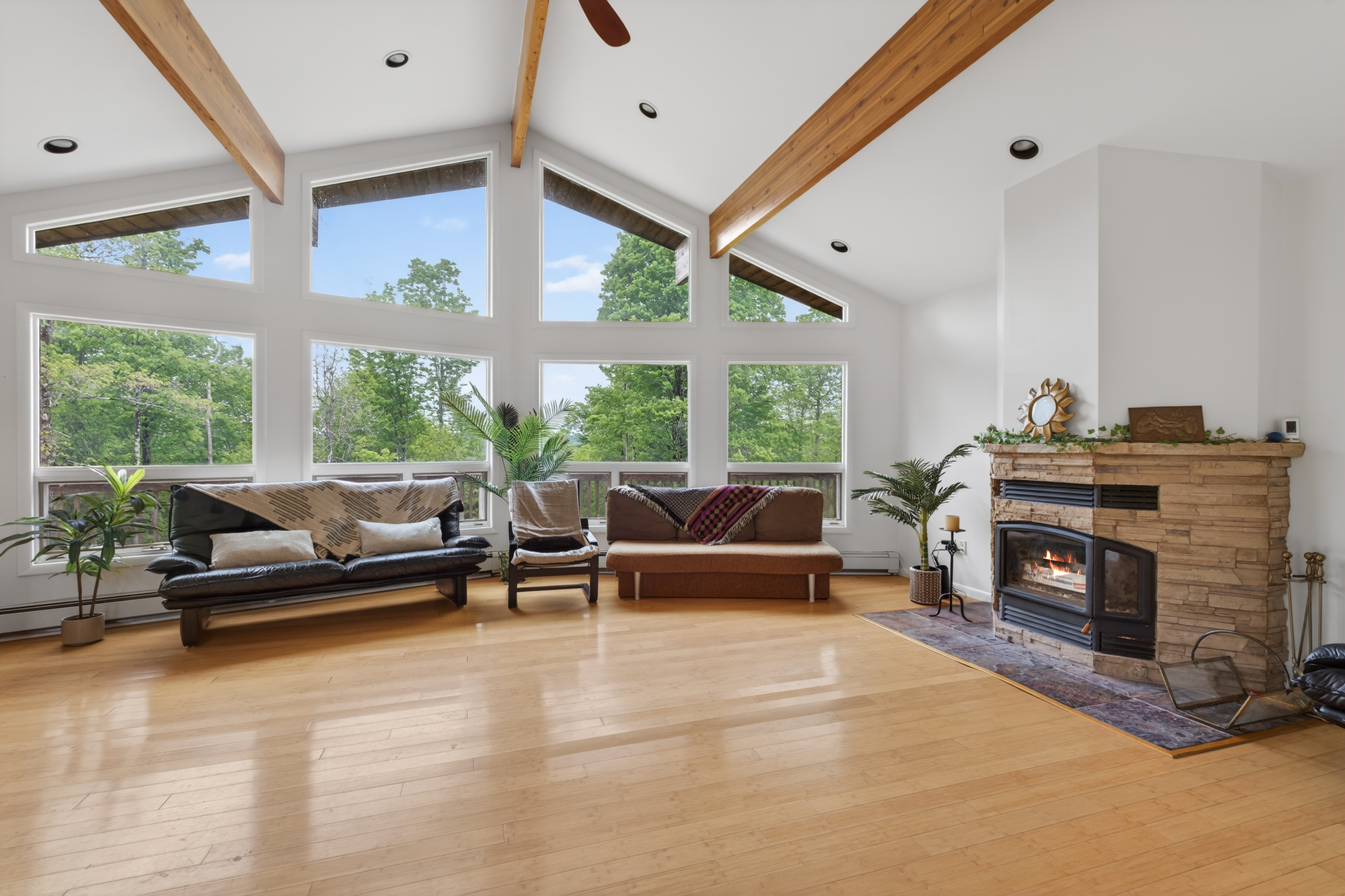  81 N Pond Drive, Livingston Manor, NY, 12758 - 物件實景