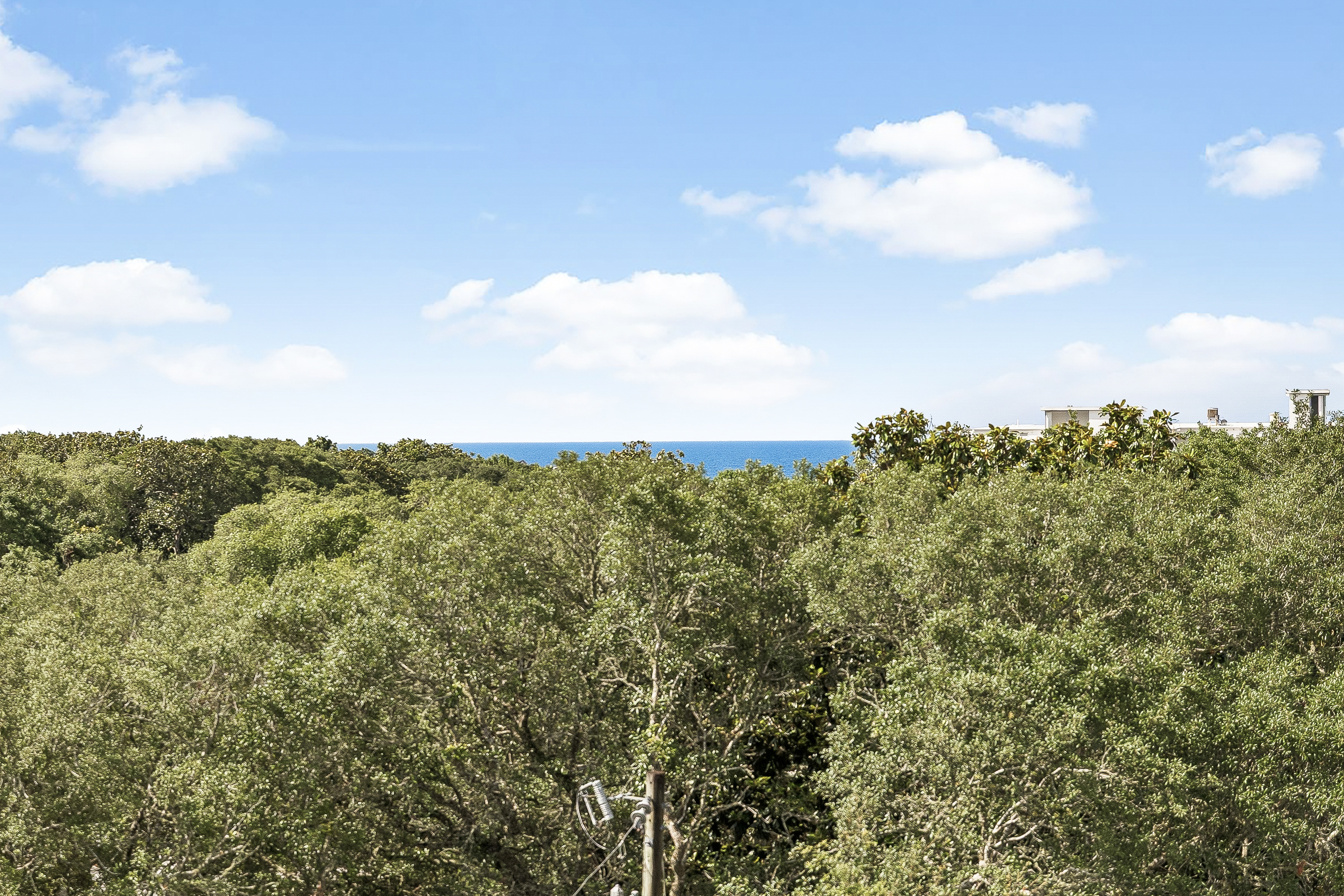  43 Forest Street, Santa Rosa Beach, FL 32459 - 物件實景