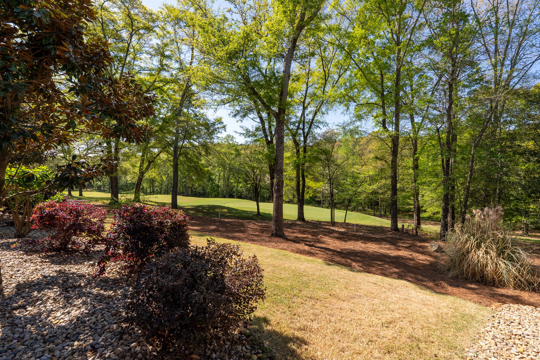  1602 Cross Creek Drive, Seneca, SC 29678 - 物件實景