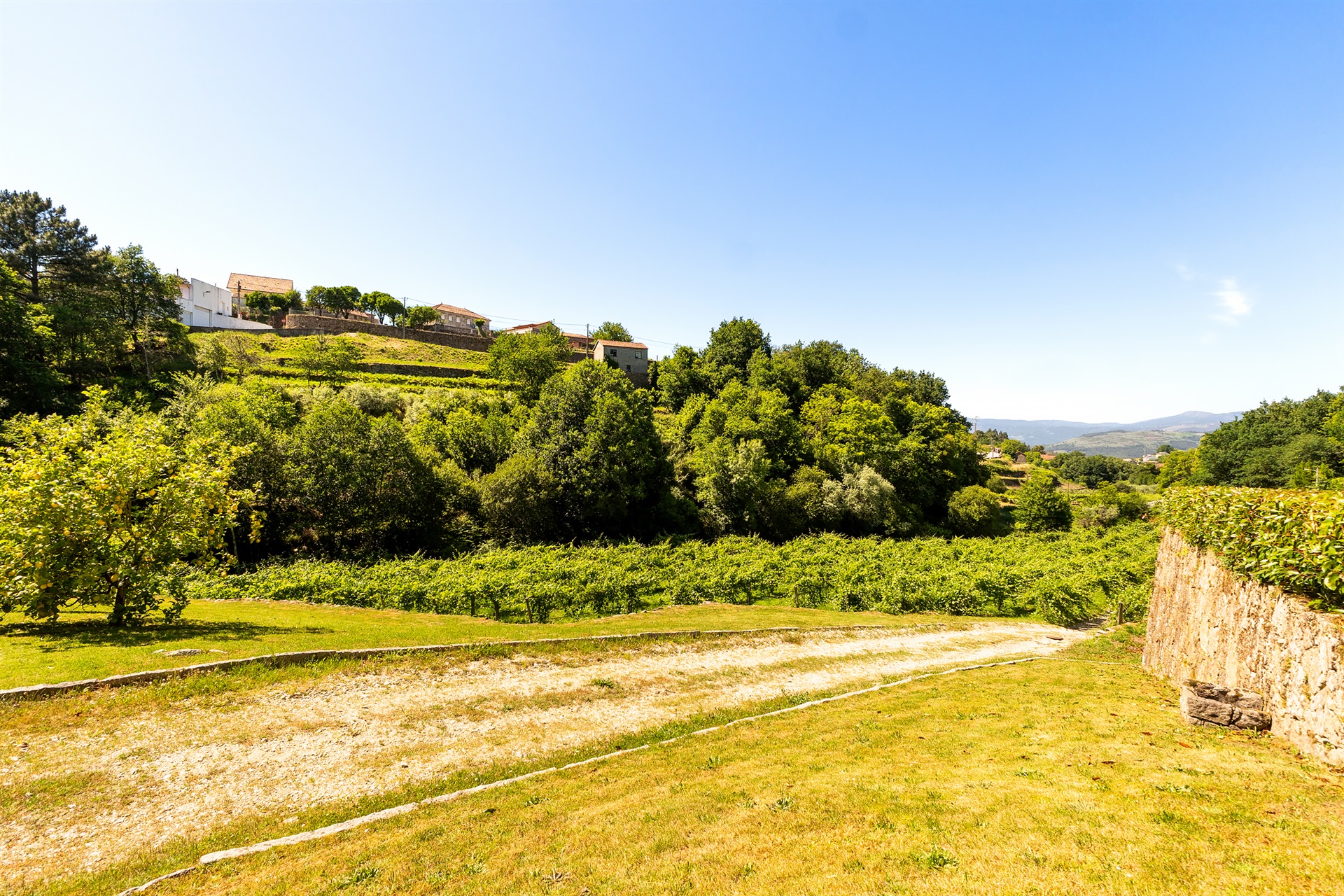  Farm, 5 bedrooms, for Sale - 物件實景