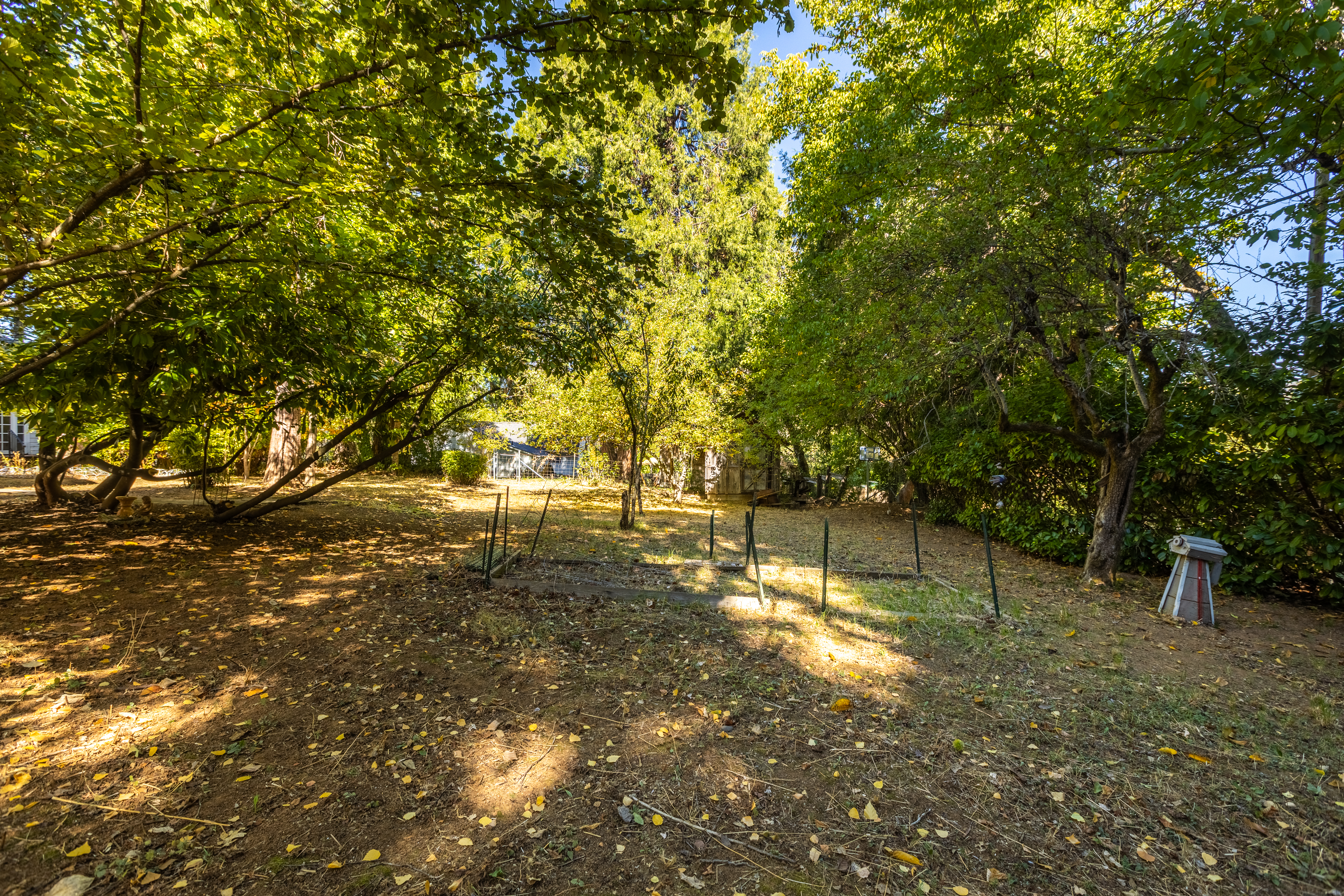  337 Clay Street, Nevada City, CA 95959 - 物件實景
