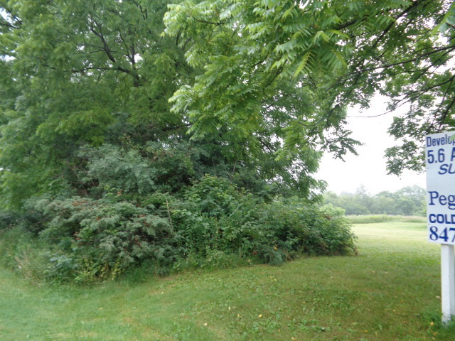 Long Grove, Illinois, 60047, United States, ,Land,For Sale,1794111