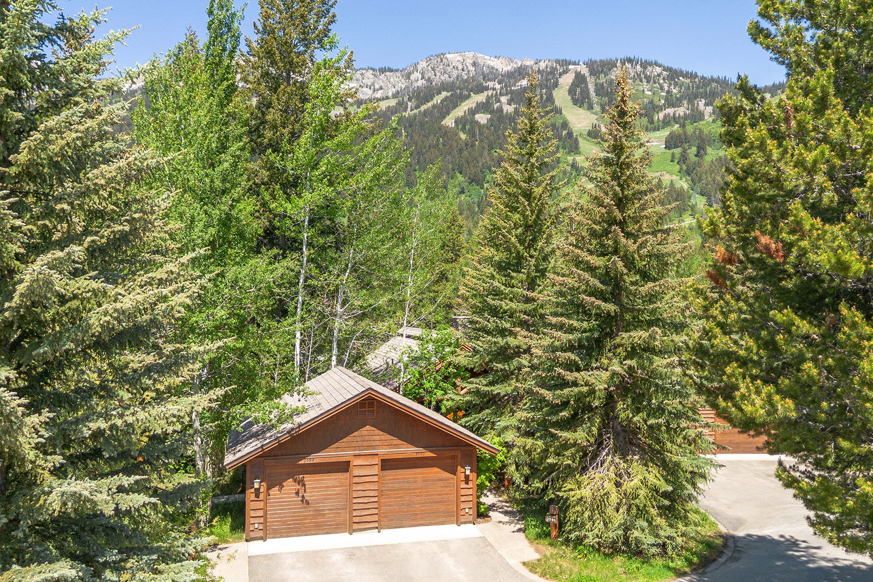  Ski-In Ski-Out Luxury Cabin  Jackson Hole Mountain Resort  Teton Village WY - 物件實景