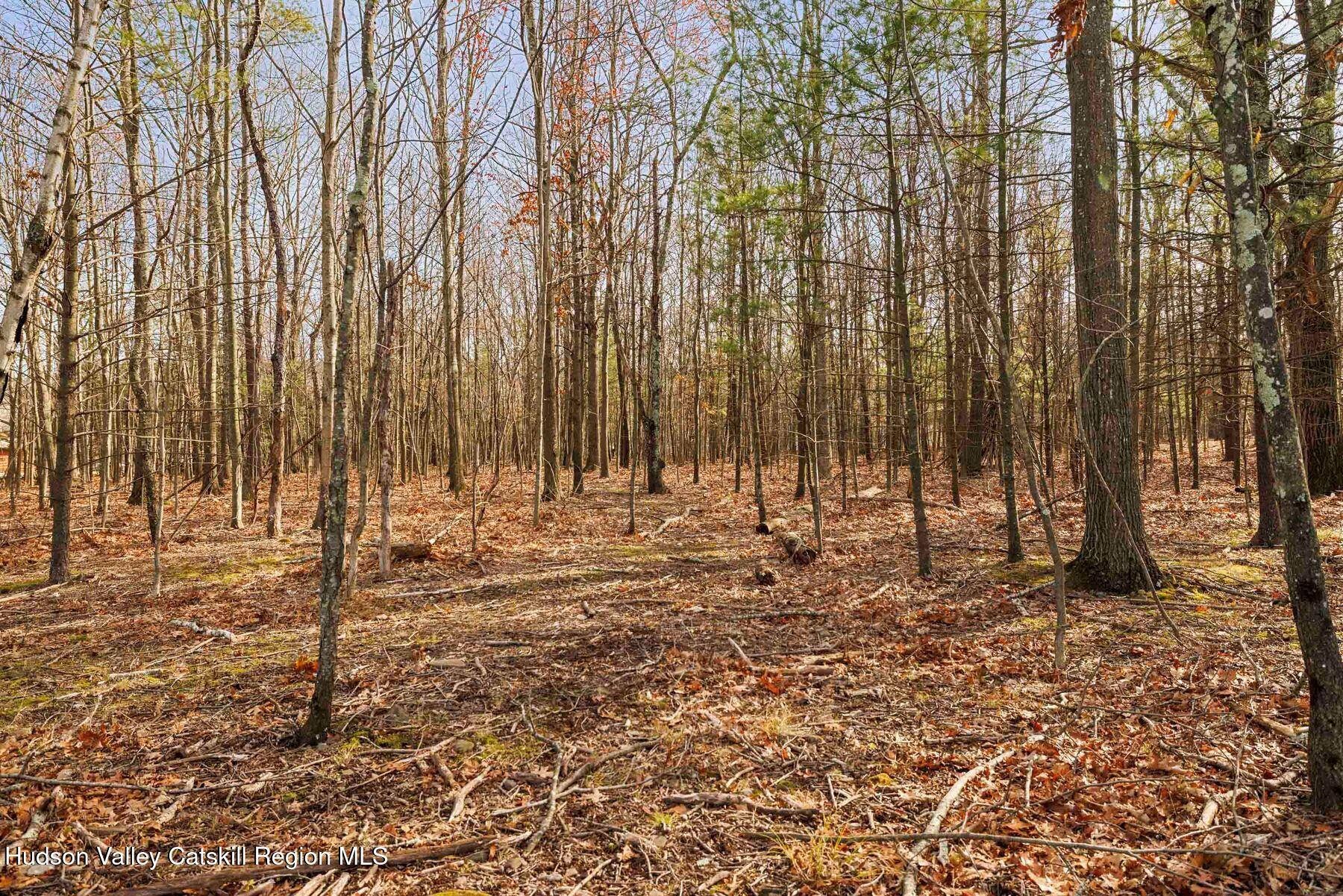 Round Top, New York, 12473, United States, 6 Bedrooms Bedrooms, ,7 BathroomsBathrooms,Residential,For Sale,2002292