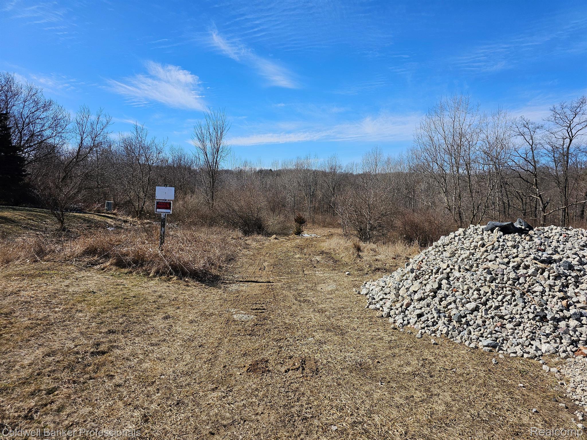 Metamora, Michigan, 48455, United States, ,Land,For Sale,1736755