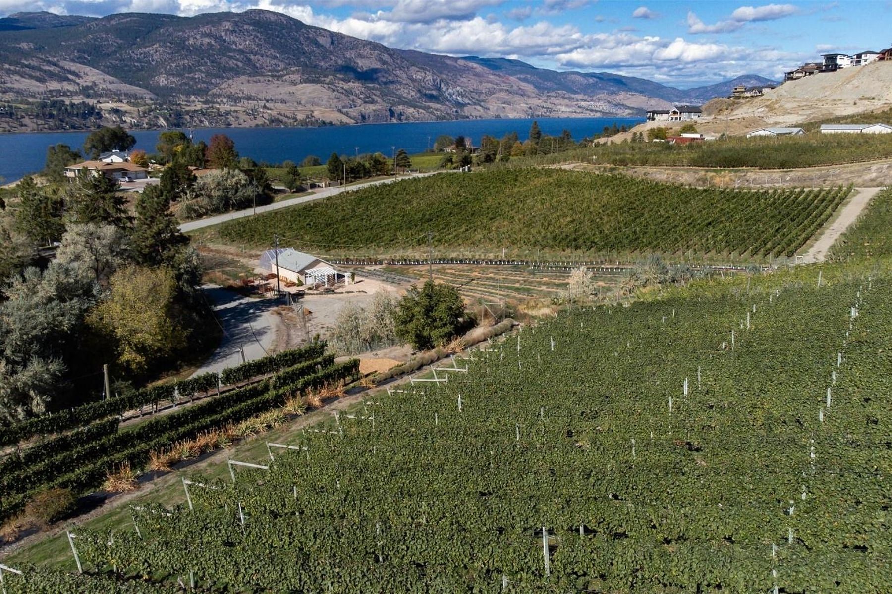  Boutique Okanagan Winery - 物件實景