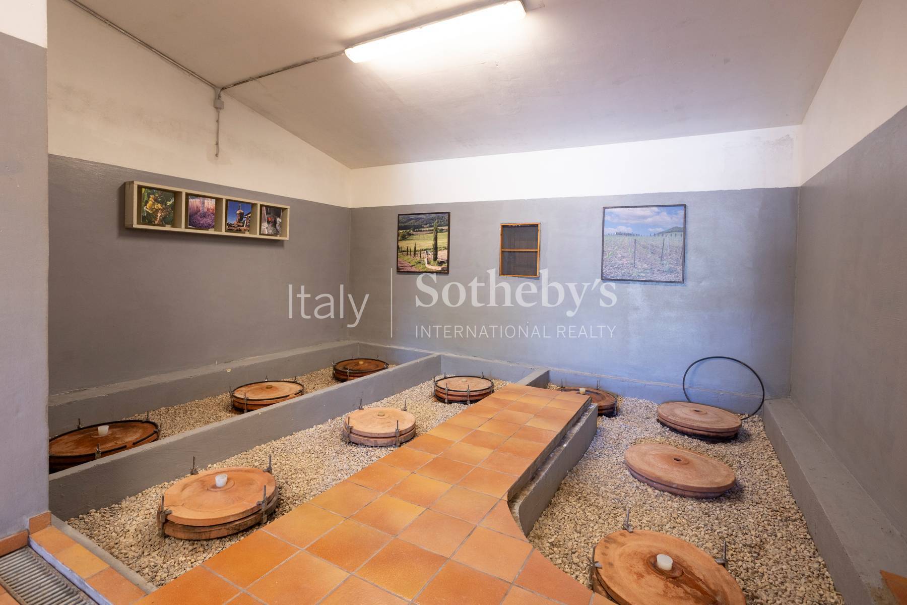  Tuscan estate with vineyards and winery - 物件實景