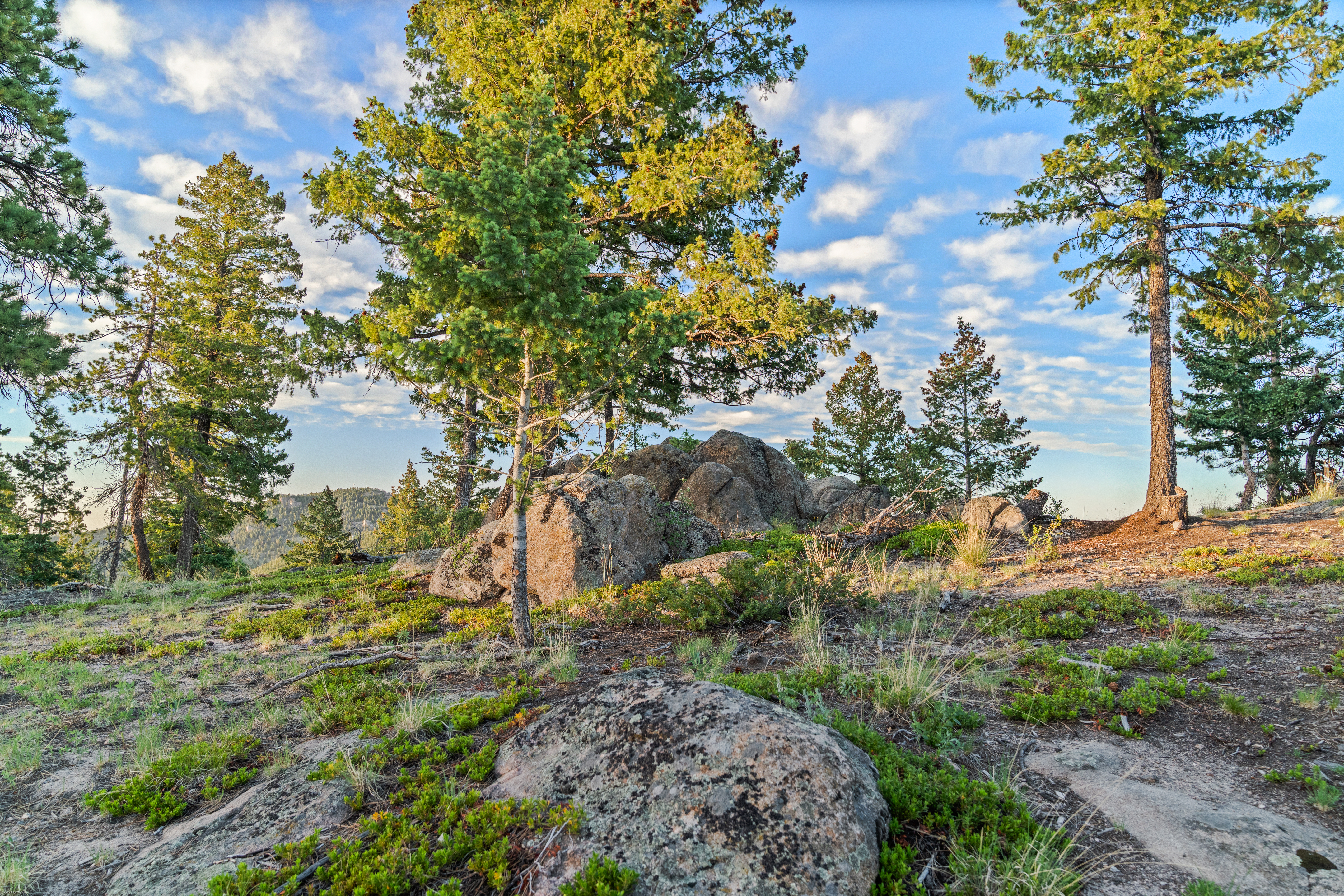  Acreage Available in Evergreen