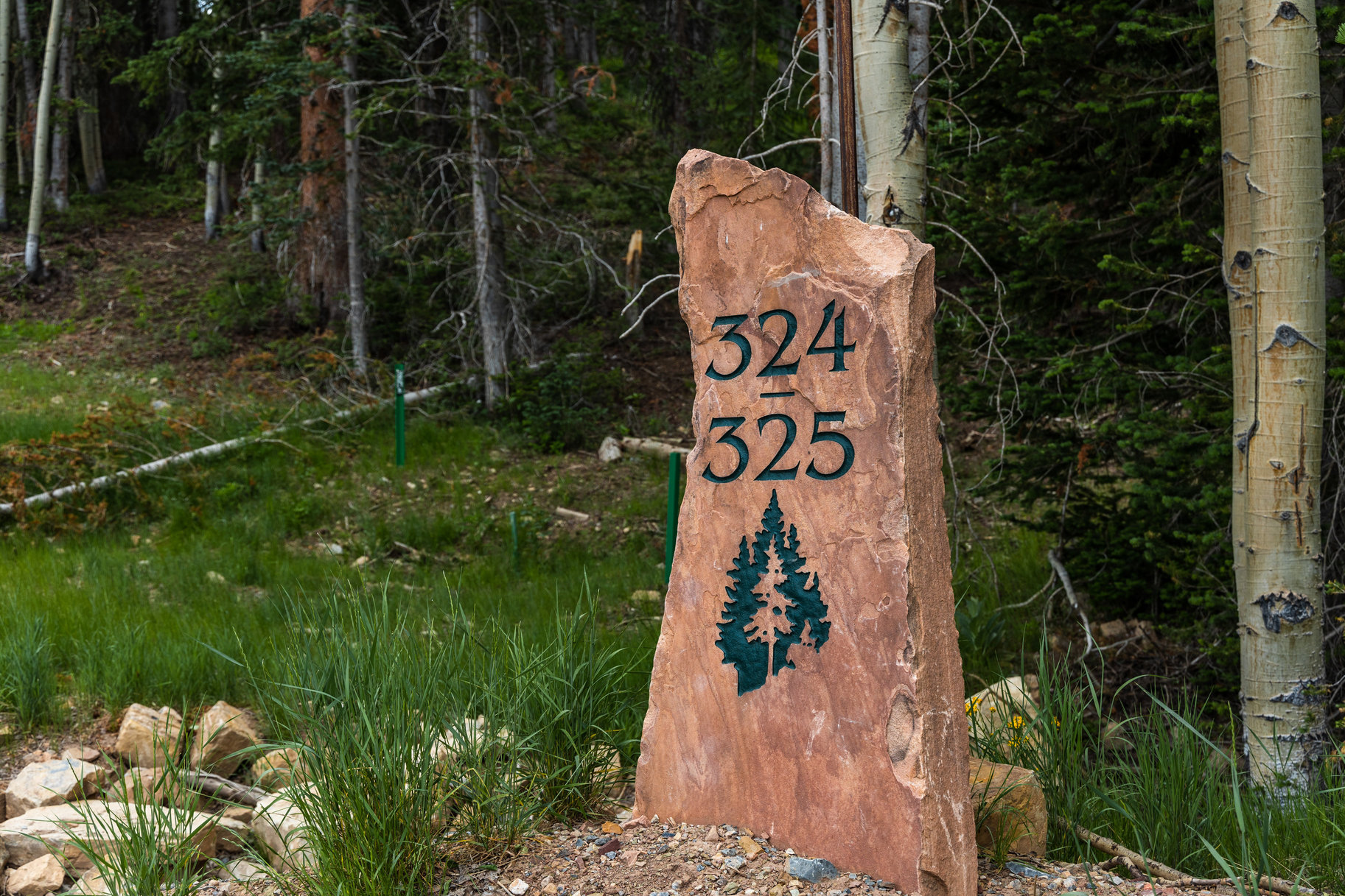 Incredible 28 Acre Estate Lot in the Colony at White Pine Canyon - 物件實景