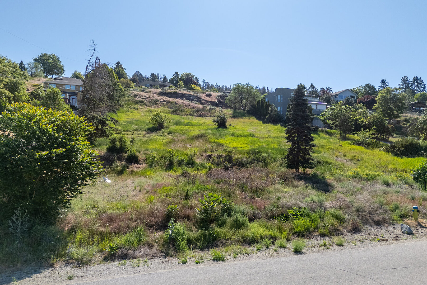  Rare Lot for Your Dream Home - 物件實景