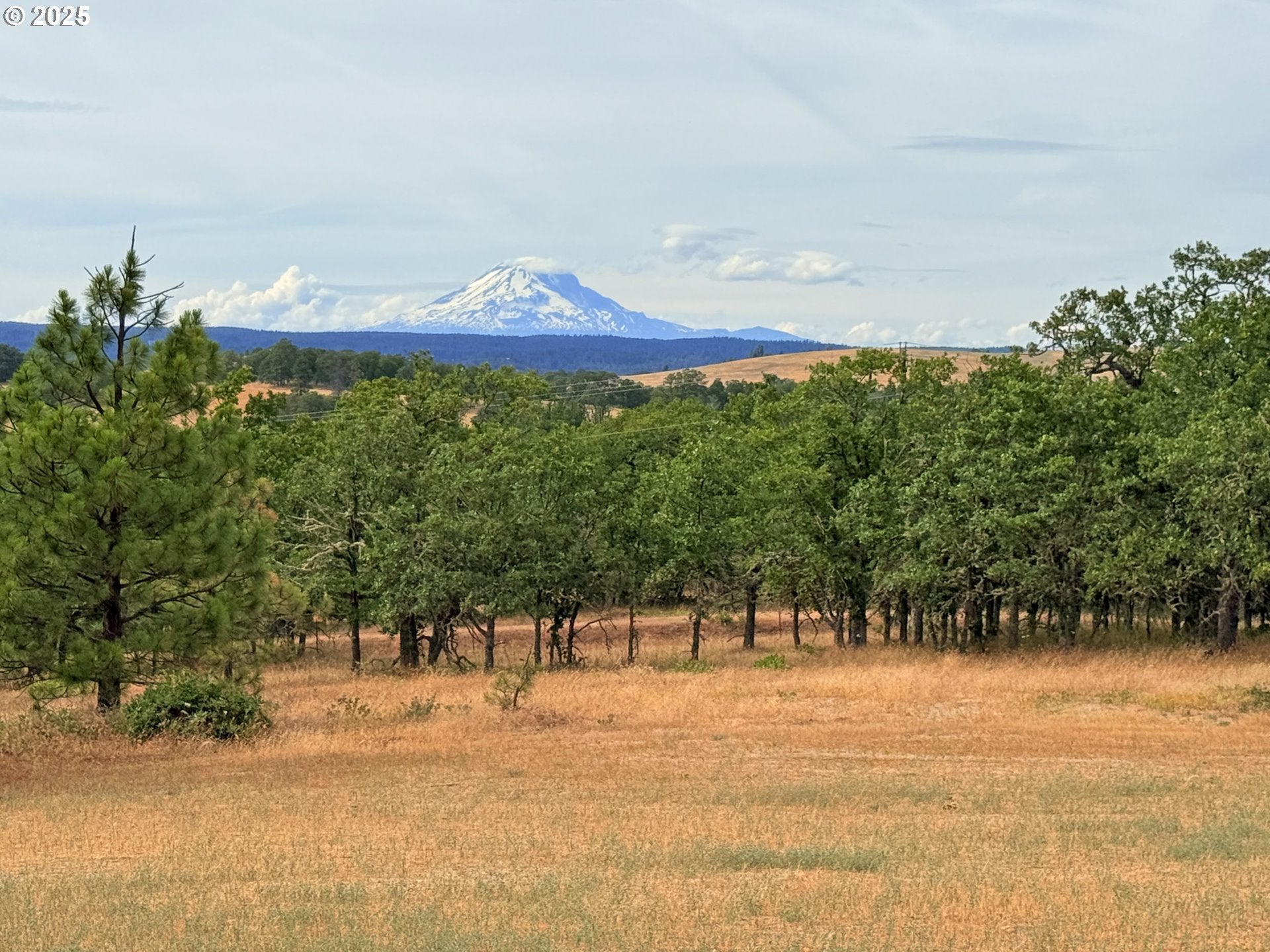 Lyle, Washington, 98635, United States, 3 Bedrooms Bedrooms, ,2 BathroomsBathrooms,Residential,For Sale,1875194