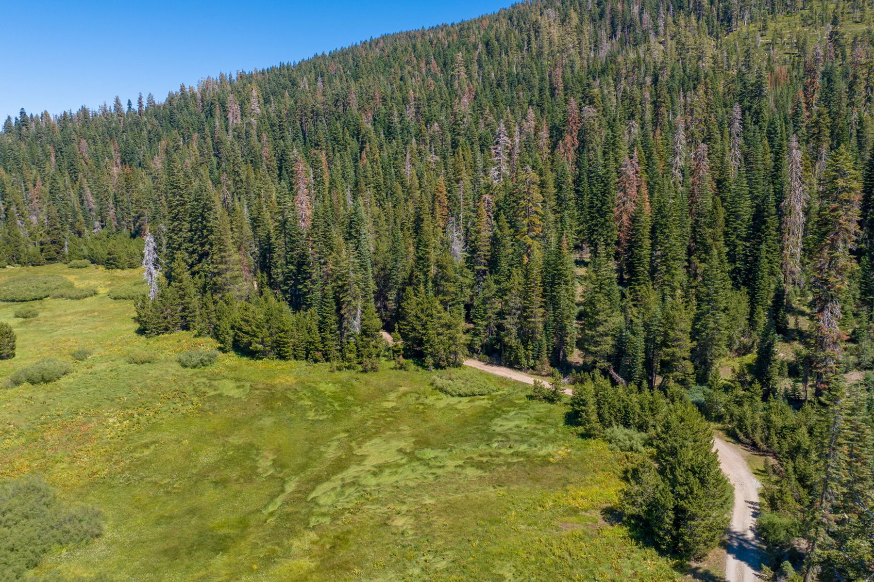  80 Acres of Pristine Land in the Middle of Plumas Eureka State Park - 物件實景