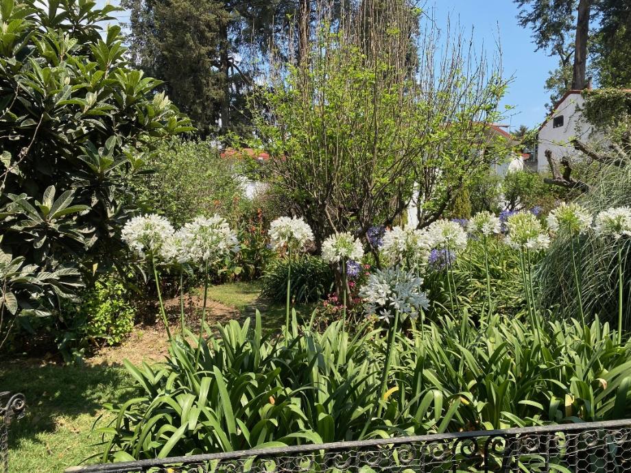 Muitles, Cuajimalpa de Morelos, Ciudad de México, 05600, Mexico, 3 Bedrooms Bedrooms, ,2 BathroomsBathrooms,Residential,For Sale,Muitles,1269277