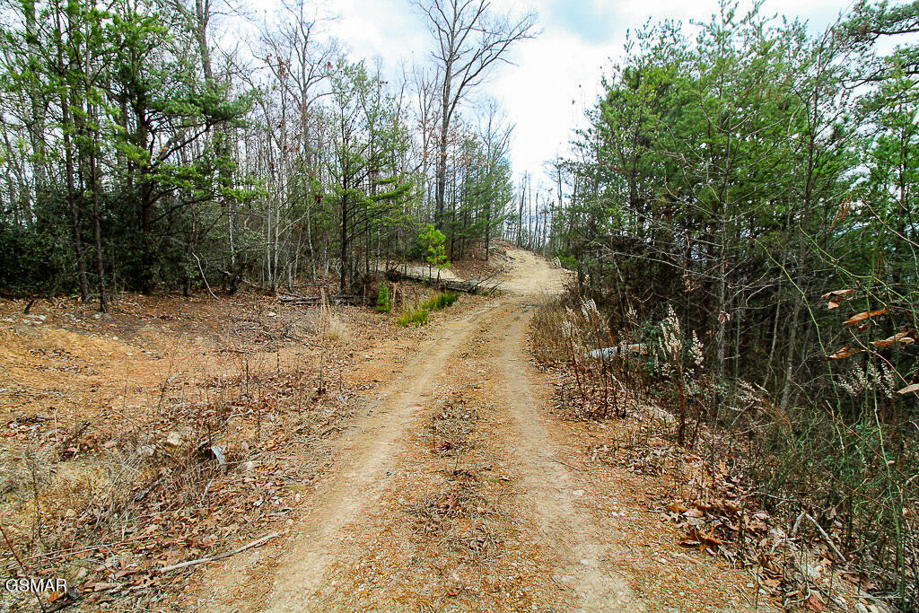 Sevierville, Tennessee, 37876, United States, ,Land,For Sale,2009102