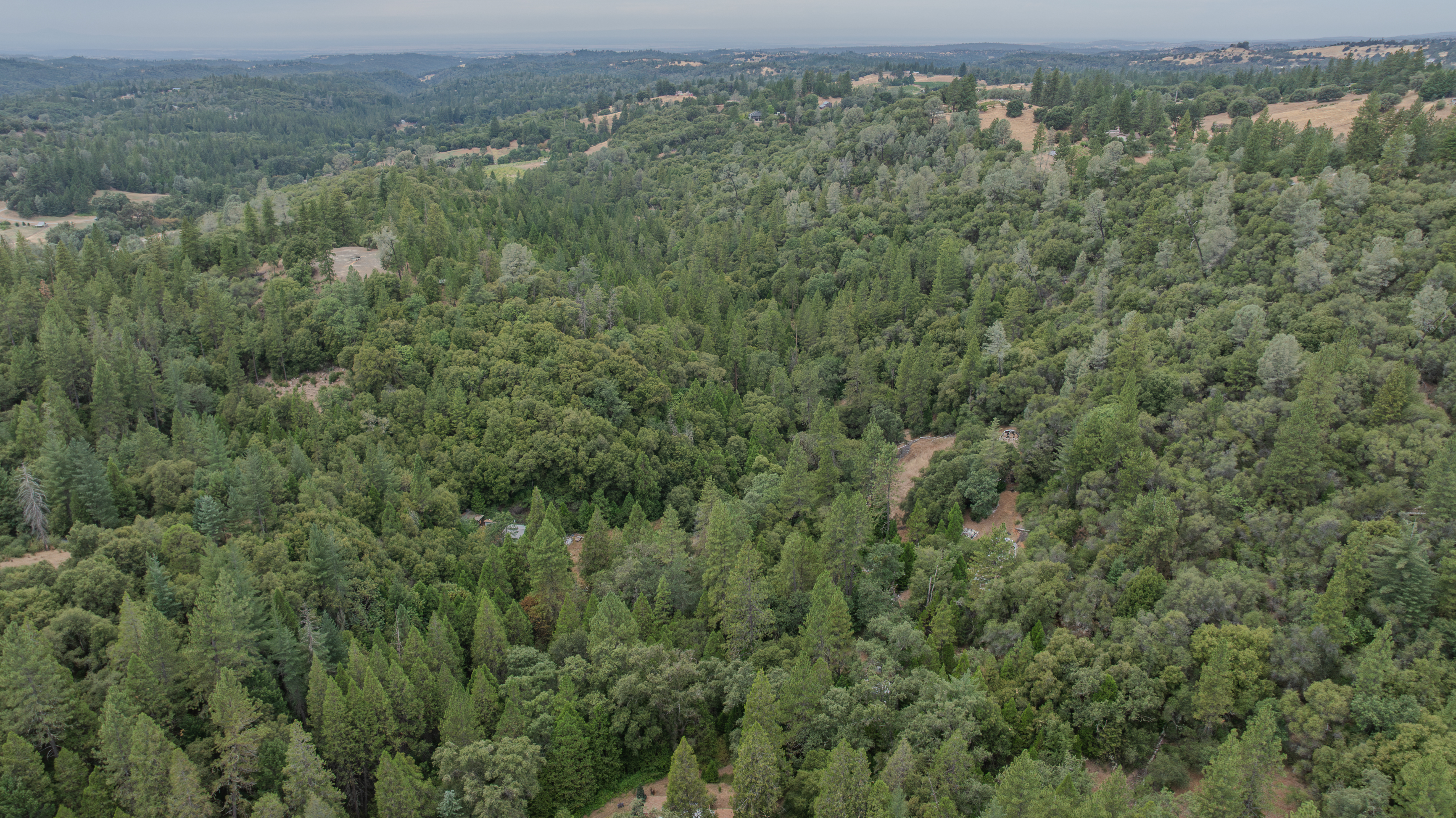 18101 Old River Road, Fiddletown, CA 95629 - 物件實景