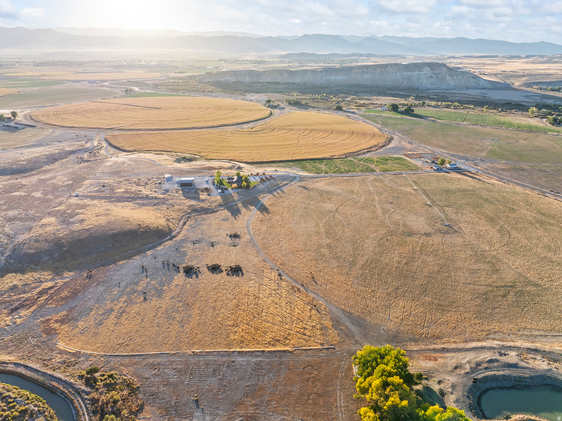 Gunnison, Utah, 84634, United States, 9 Bedrooms Bedrooms, ,6 BathroomsBathrooms,Land,For Sale,1988115