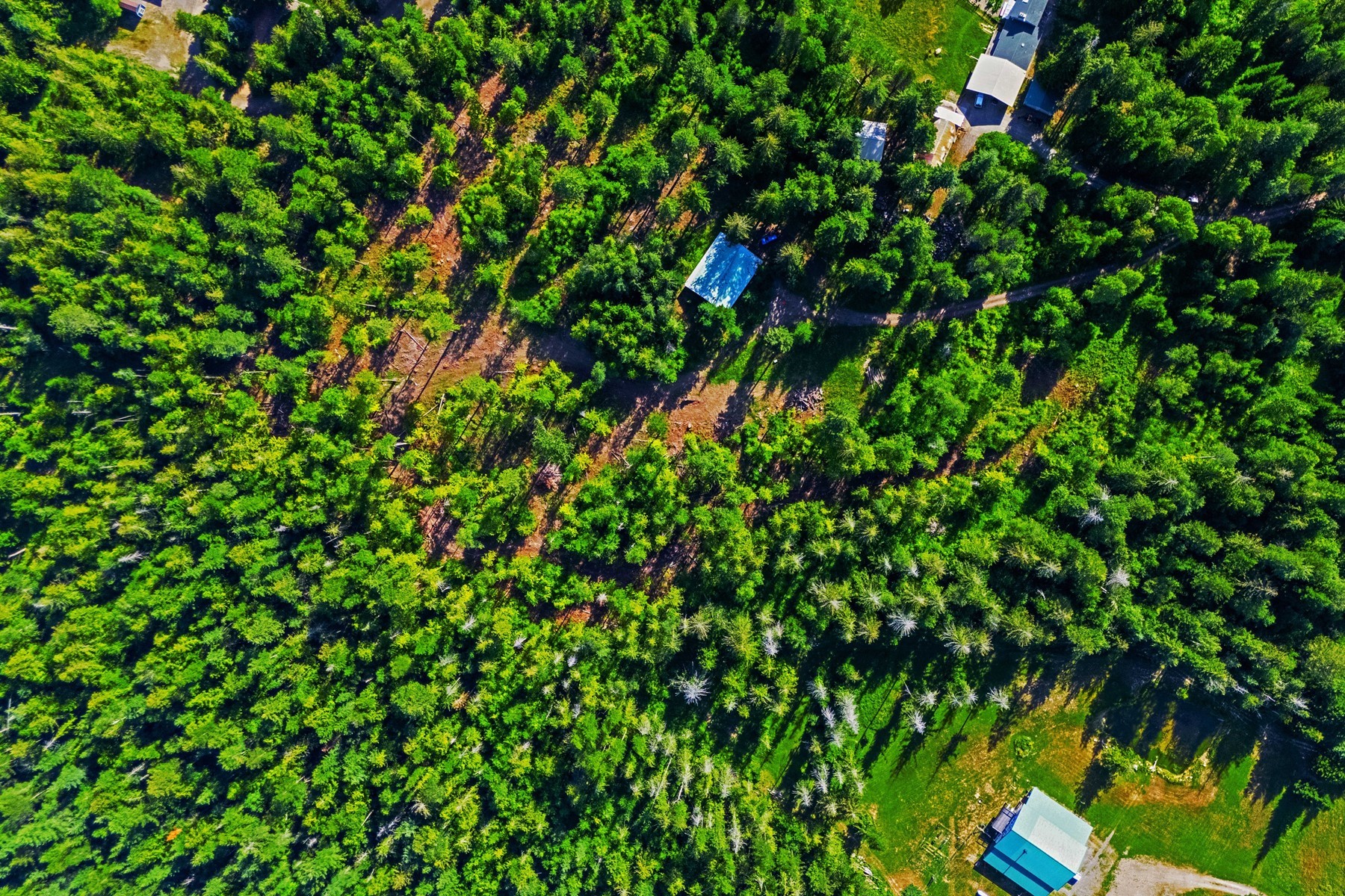  113 Tanager Lane - 物件實景