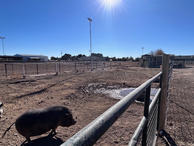 Carlsbad, New Mexico, 88220, United States, 4 Bedrooms Bedrooms, ,4 BathroomsBathrooms,Residential,For Sale,2006248